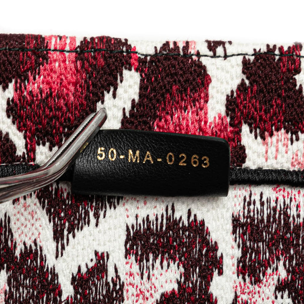 Dior Mizza Small Embroidered Canvas Leopard Book Tote