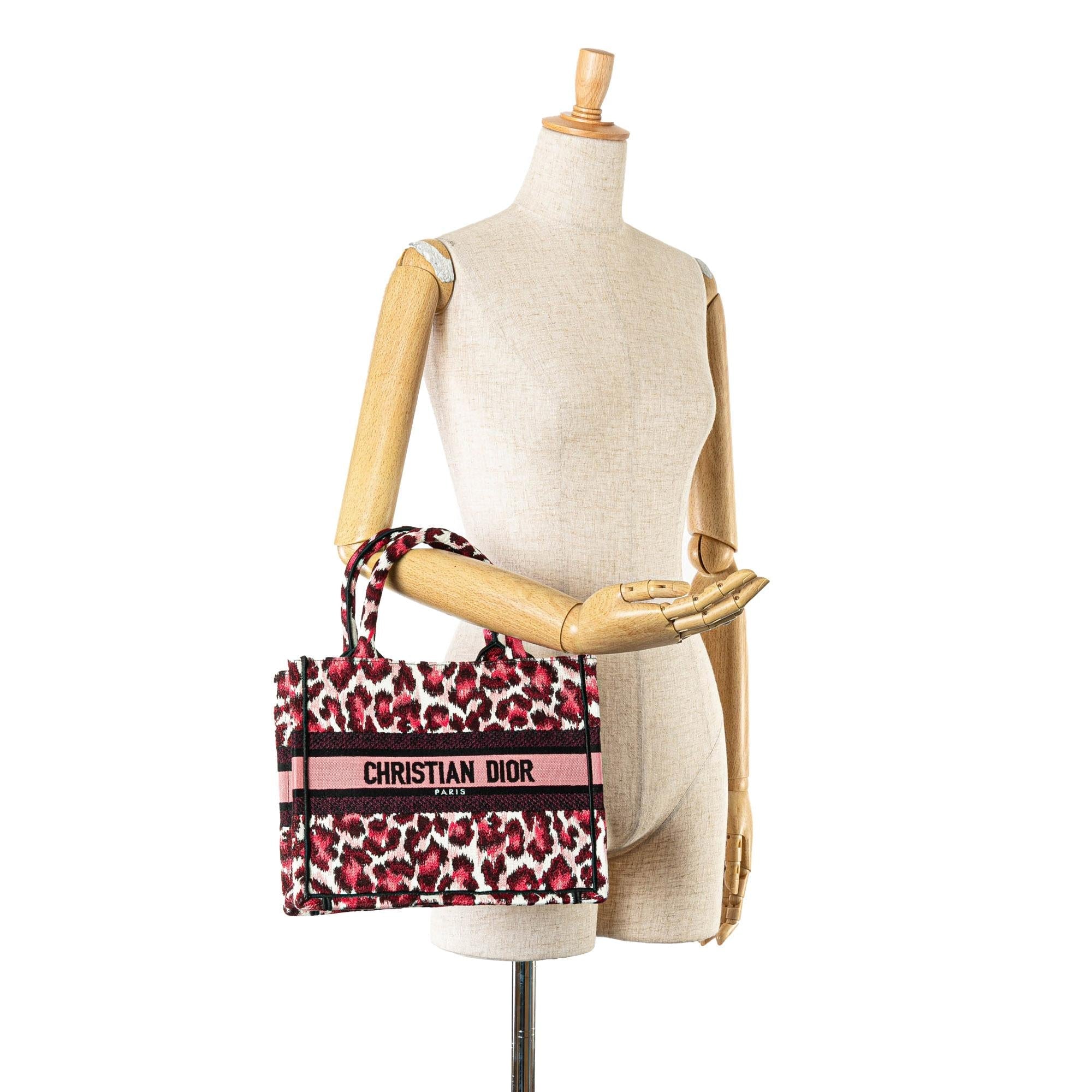 Dior Mizza Small Embroidered Canvas Leopard Book Tote