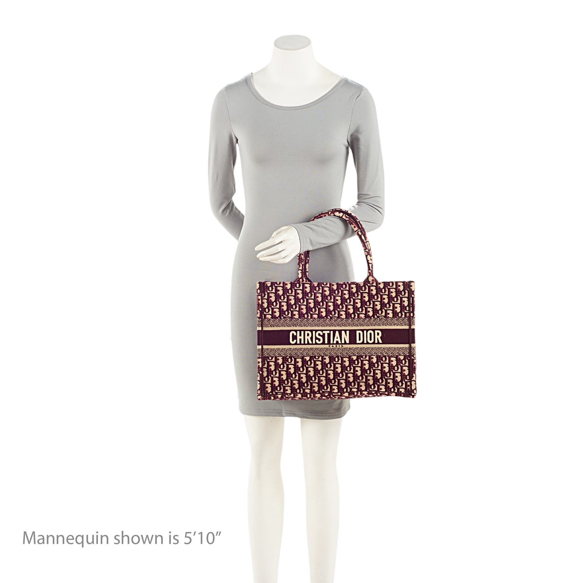 Dior Oblique Small Book Tote (SHF-OdBGdH)