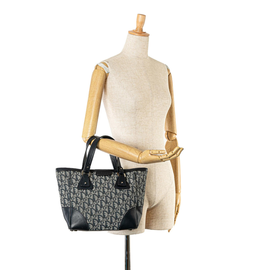 Dior Oblique Trotter Tote (SHG-qJZeSn)