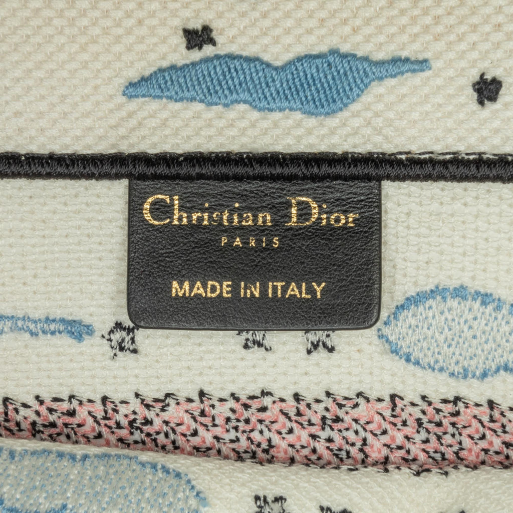 Dior Small Ciel de Reve Book Tote (SHG-TWrsQK)