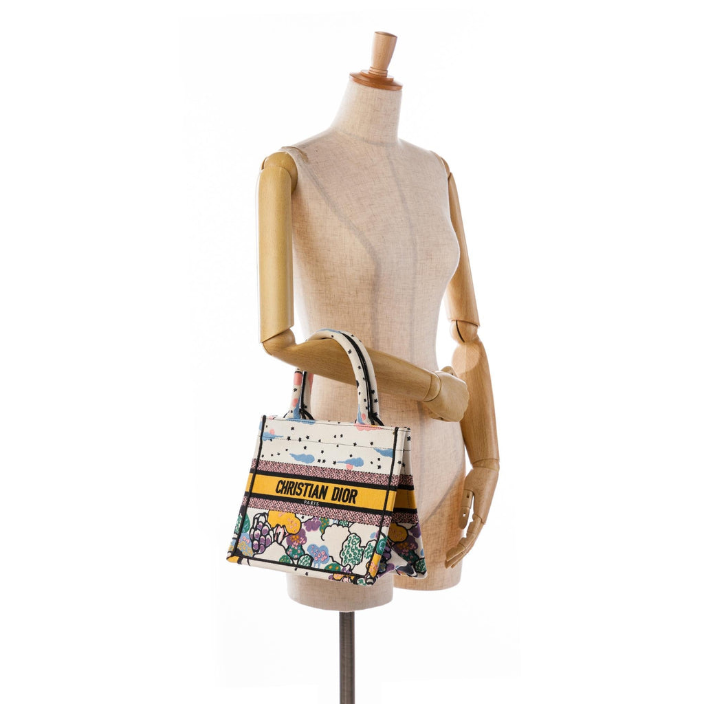 Dior Small Ciel de Reve Book Tote (SHG-TWrsQK)