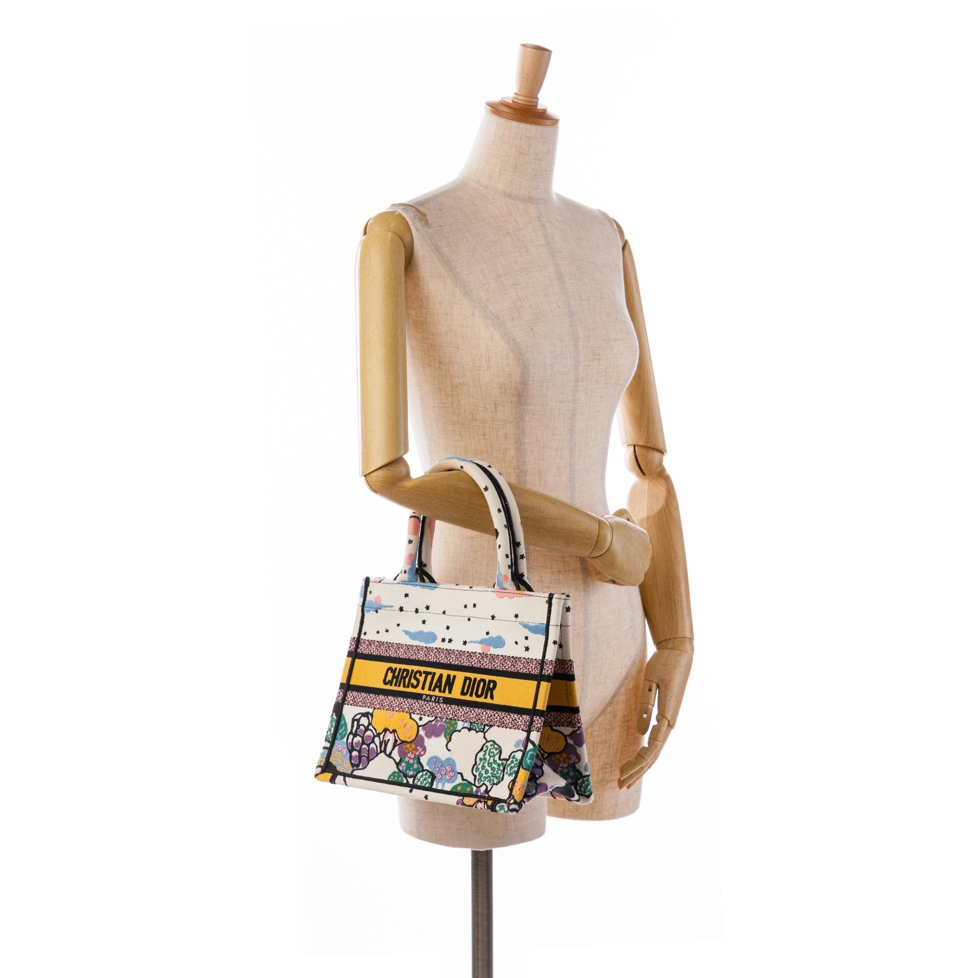 Dior Small Ciel de Reve Book Tote (SHG-TWrsQK)