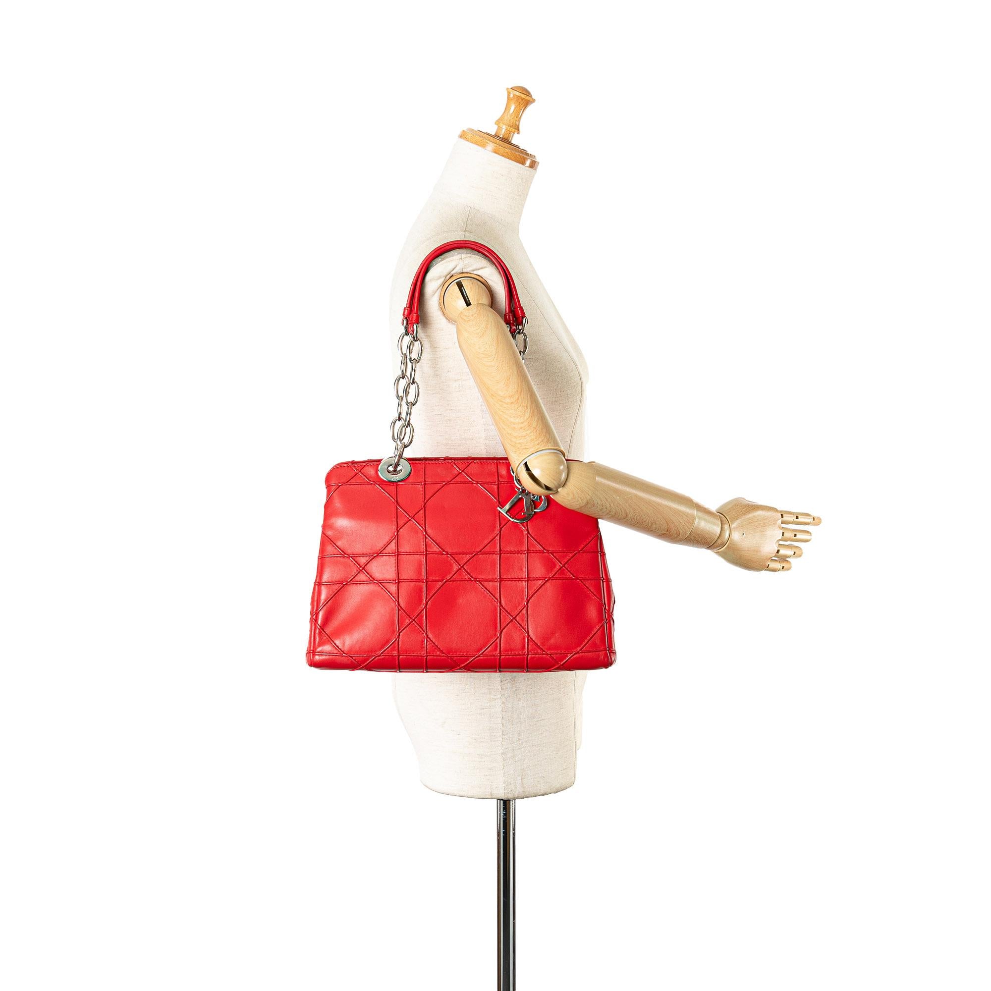 Dior Small Lambskin Cannage Soft Zip Shopping Tote (SHG-oVMMG5)