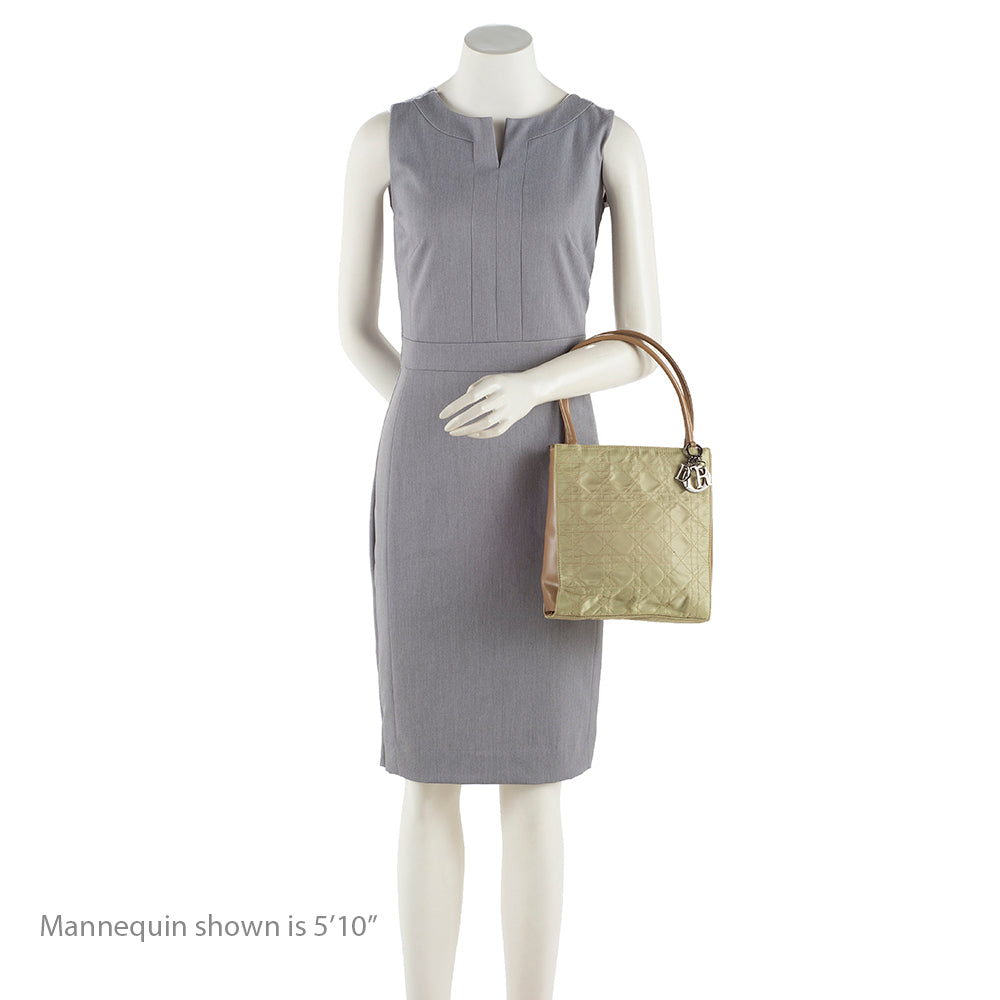 Dior Vintage Satin Mini Tote (SHF-17960)