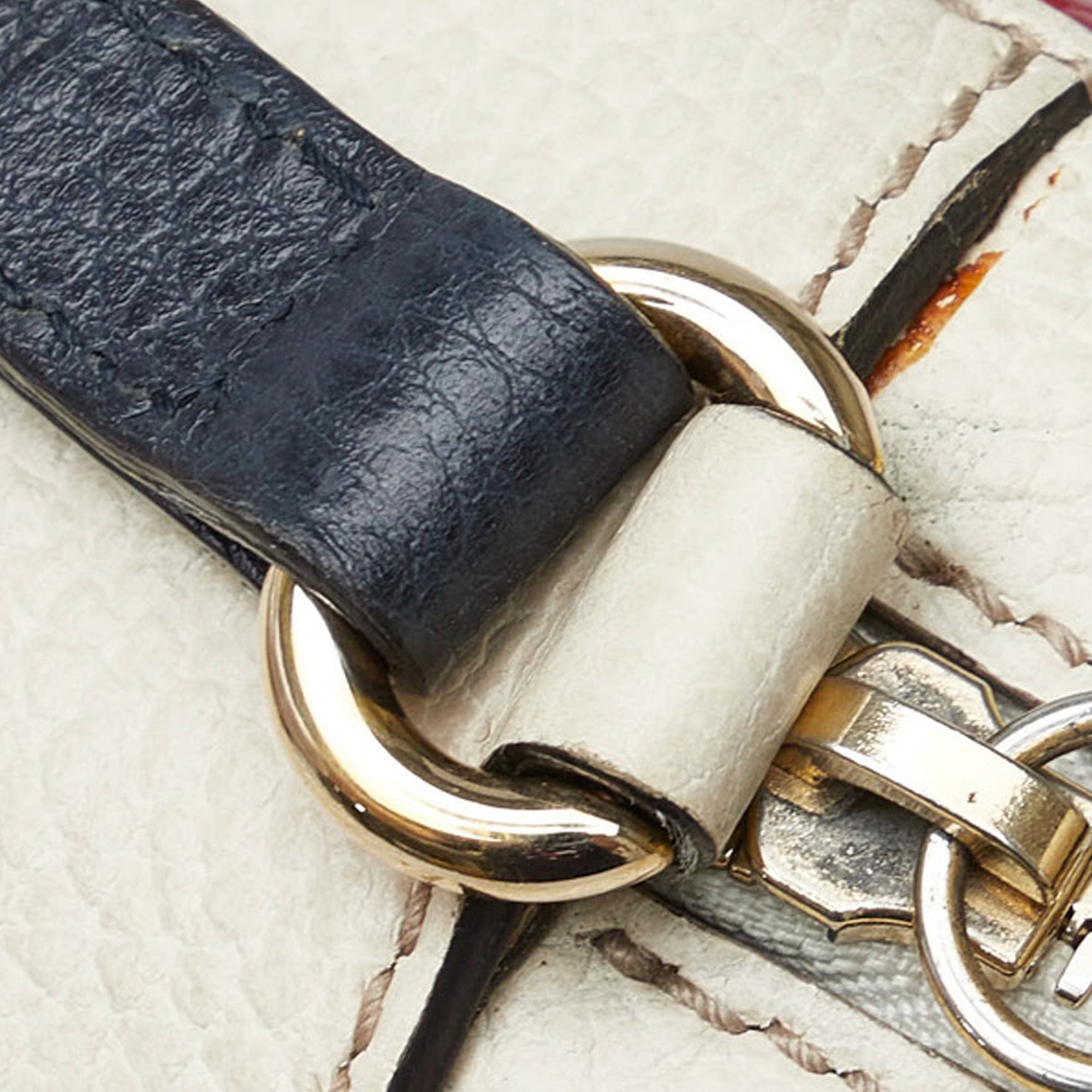 Gucci Soho Diorsco Crossbody Bag Multicolor