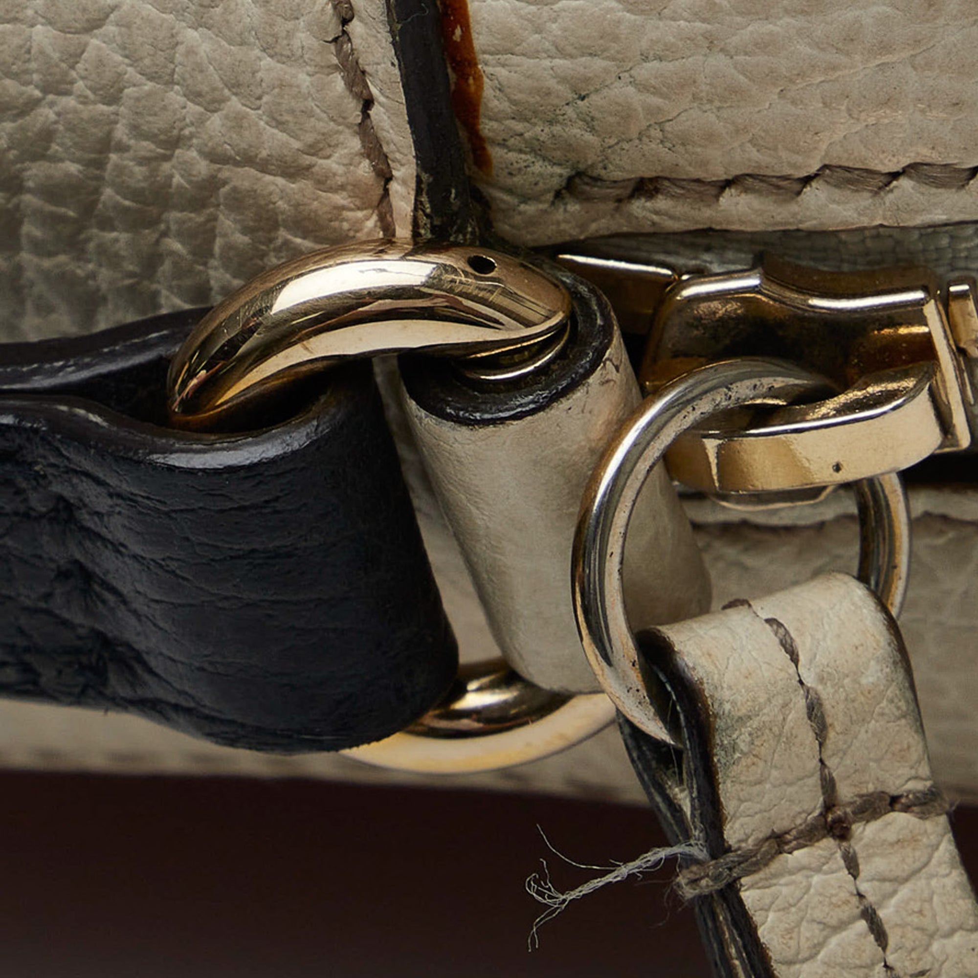 Gucci Soho Diorsco Crossbody Bag Multicolor