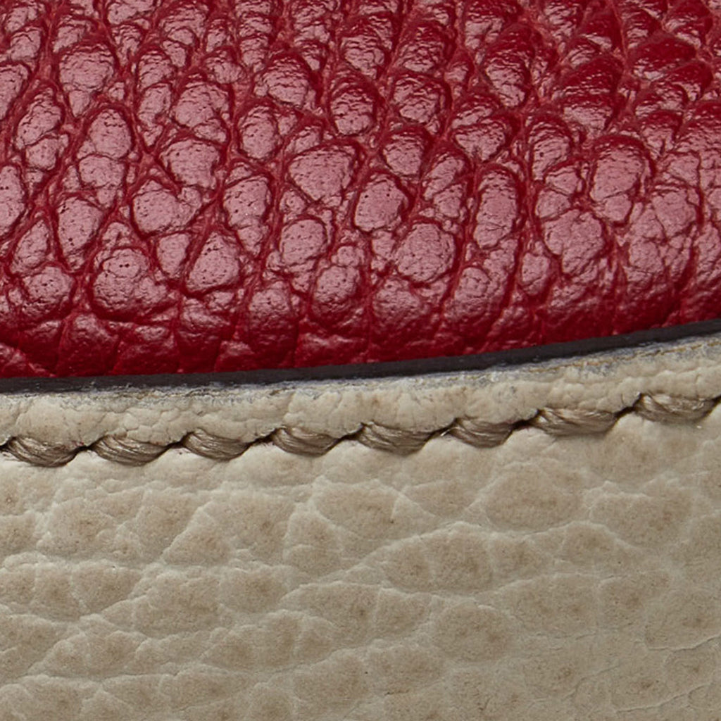 Gucci Soho Diorsco Crossbody Bag Multicolor