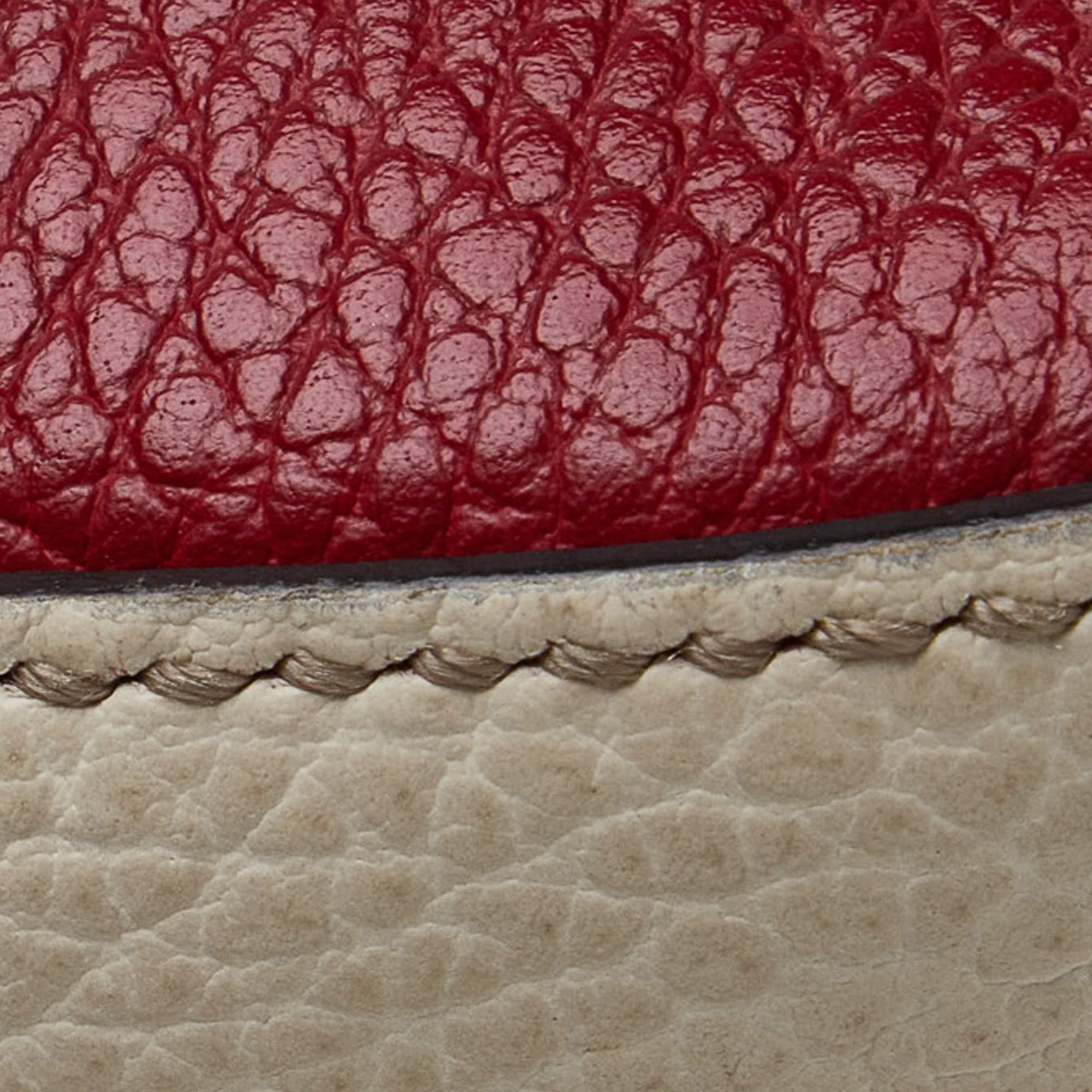 Gucci Soho Diorsco Crossbody Bag Multicolor