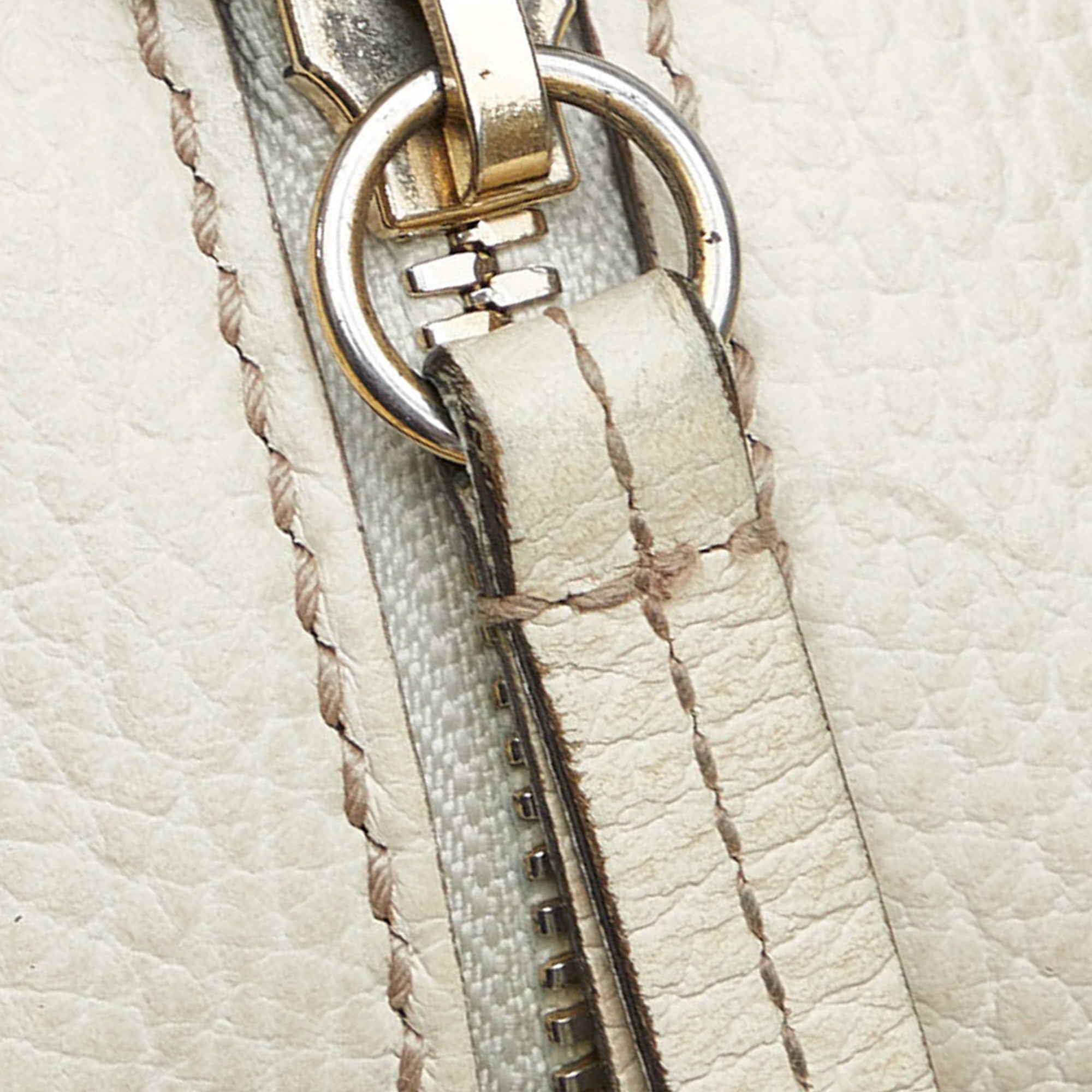 Gucci Soho Diorsco Crossbody Bag Multicolor