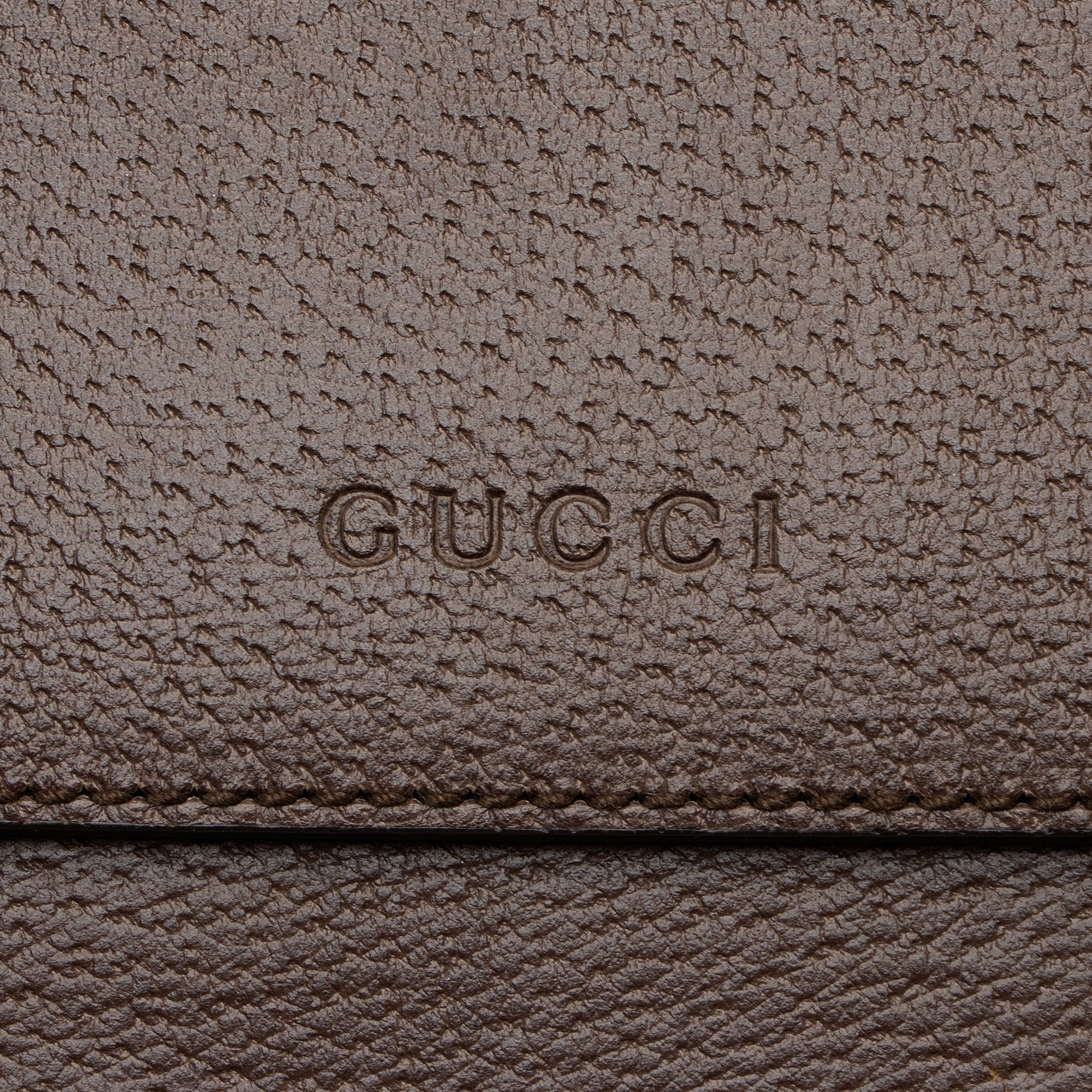 Gucci Calfskin Web Animalier Shoulder Bag