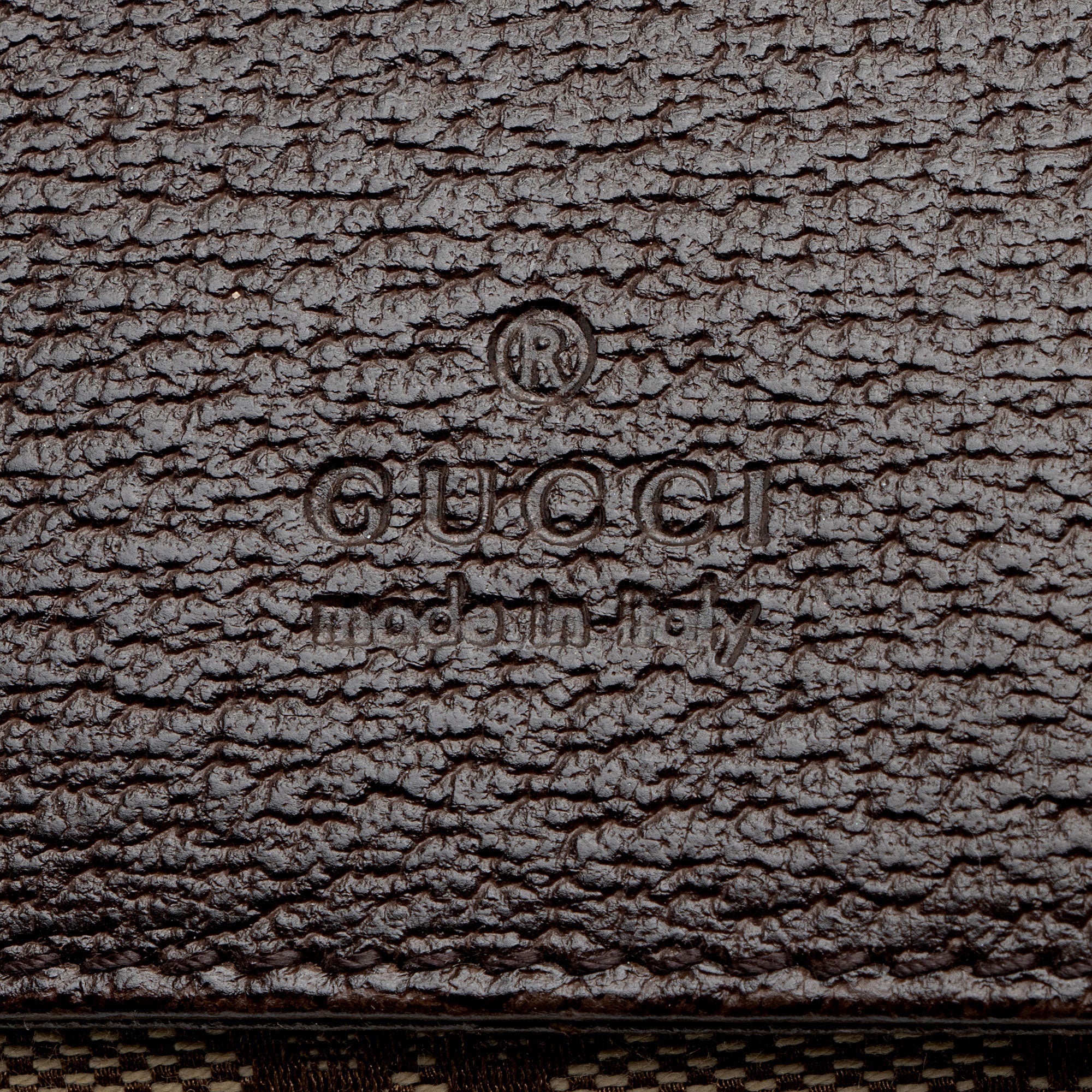 Gucci GG Canvas Double Pocket Belt Bag (SHF-Z0mmJ4)