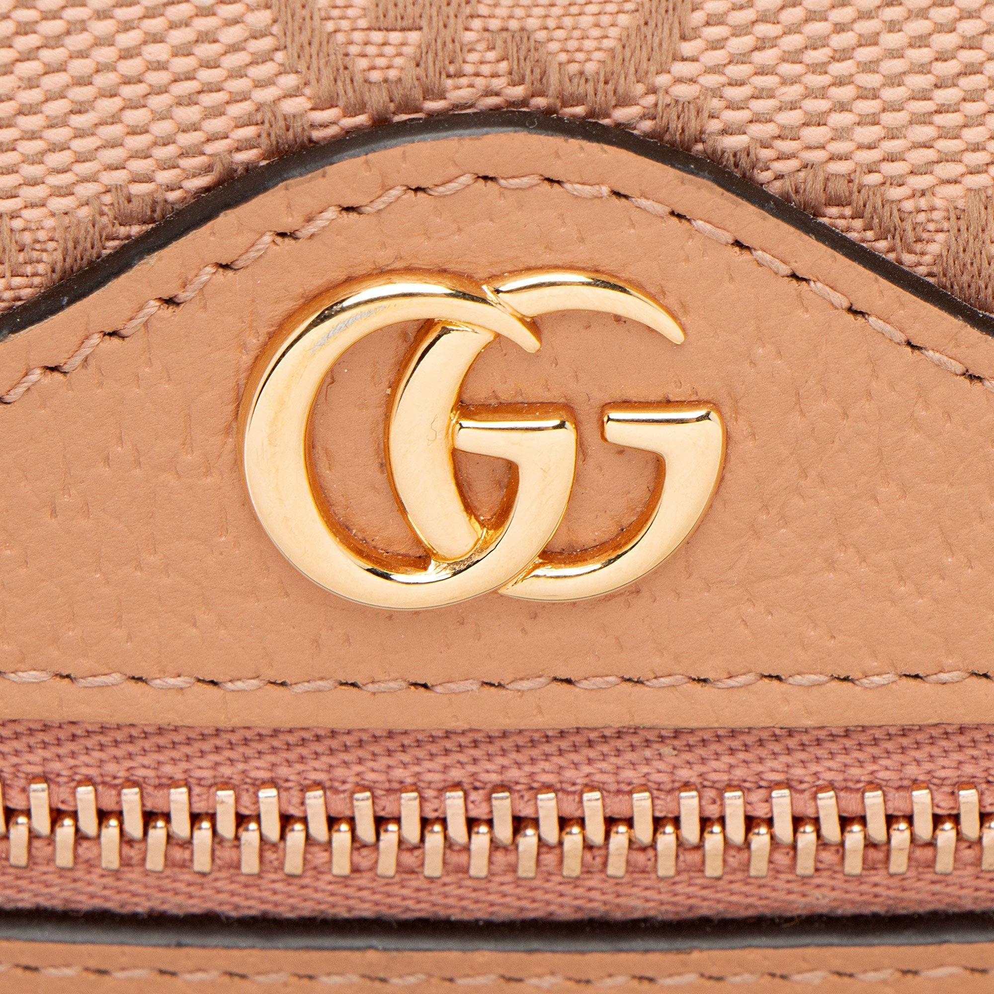 Gucci GG Canvas Ophidia Mini Shoulder Bag