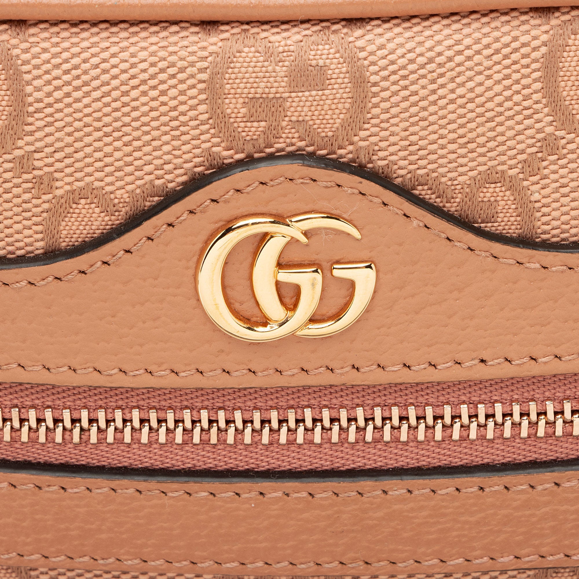 Gucci GG Canvas Ophidia Mini Shoulder Bag