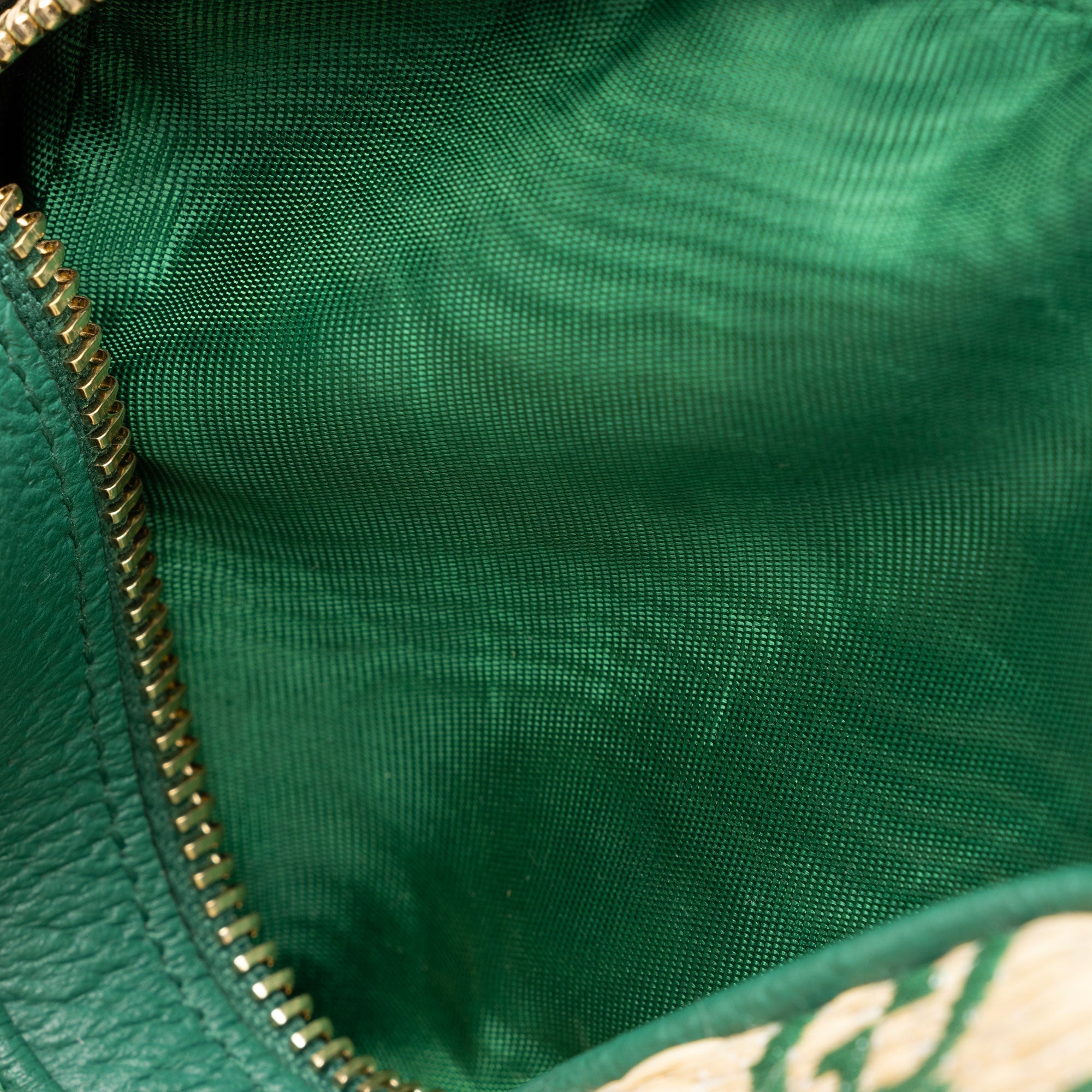 Gucci GG Raffia Ophidia Mini Shoulder Bag (SHF-0gTD9h)