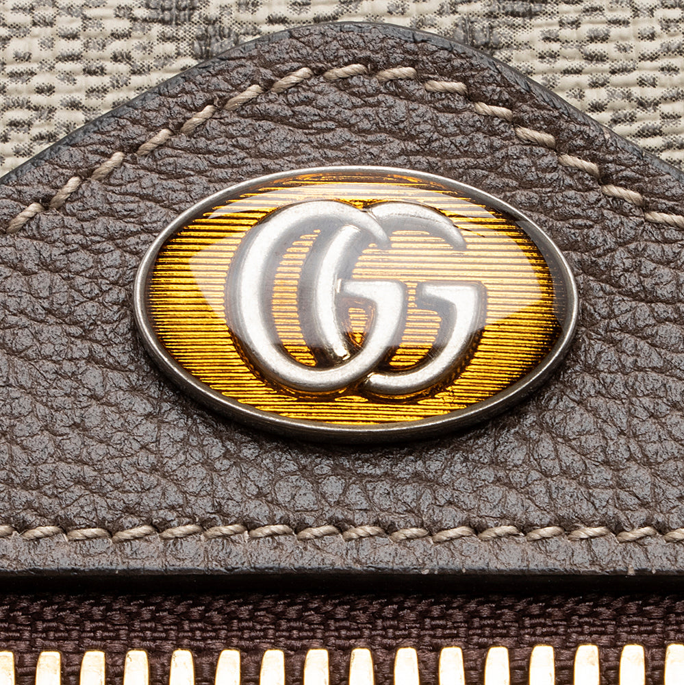 Gucci Gucci Supreme Ophidia Camera Bag (SHF-20866)