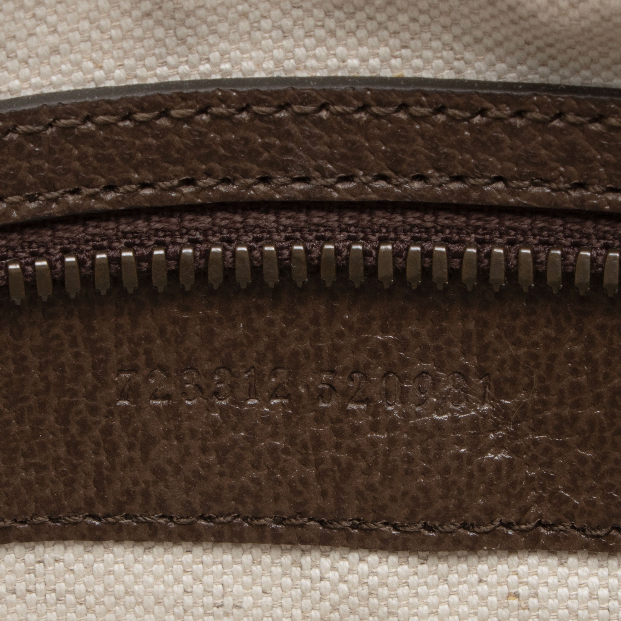 Gucci GG Supreme Ophidia Camera Bag