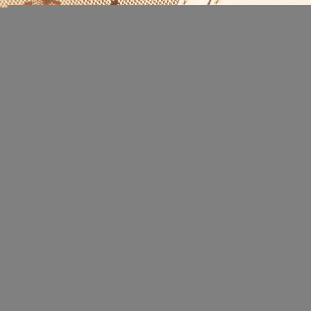 Gucci Large GG Canvas Bamboo Indy Hobo