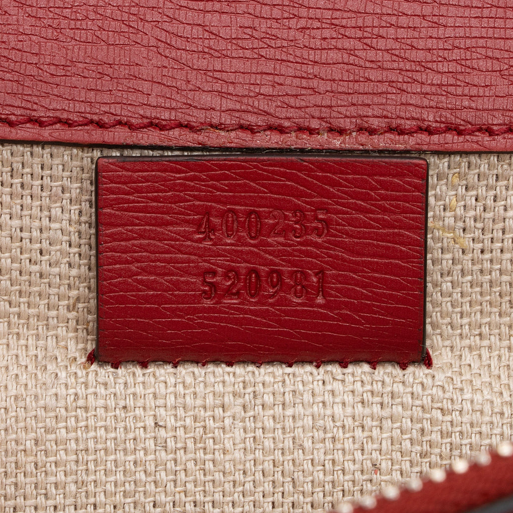 Gucci Leather Blooms Dionysus Medium Shoulder Bag (SHF-D75hzU)