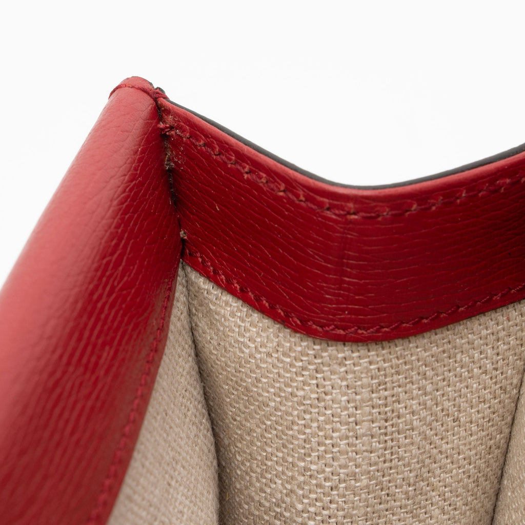 Gucci Leather Blooms Dionysus Medium Shoulder Bag (SHF-D75hzU)