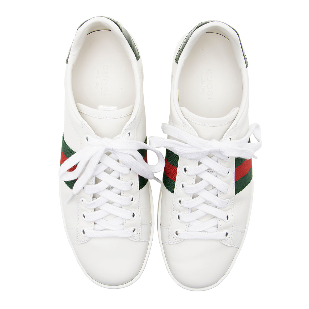 Gucci Leather Web Gucci Ace Sneakers - Size 7 / 37 (SHF-21670)