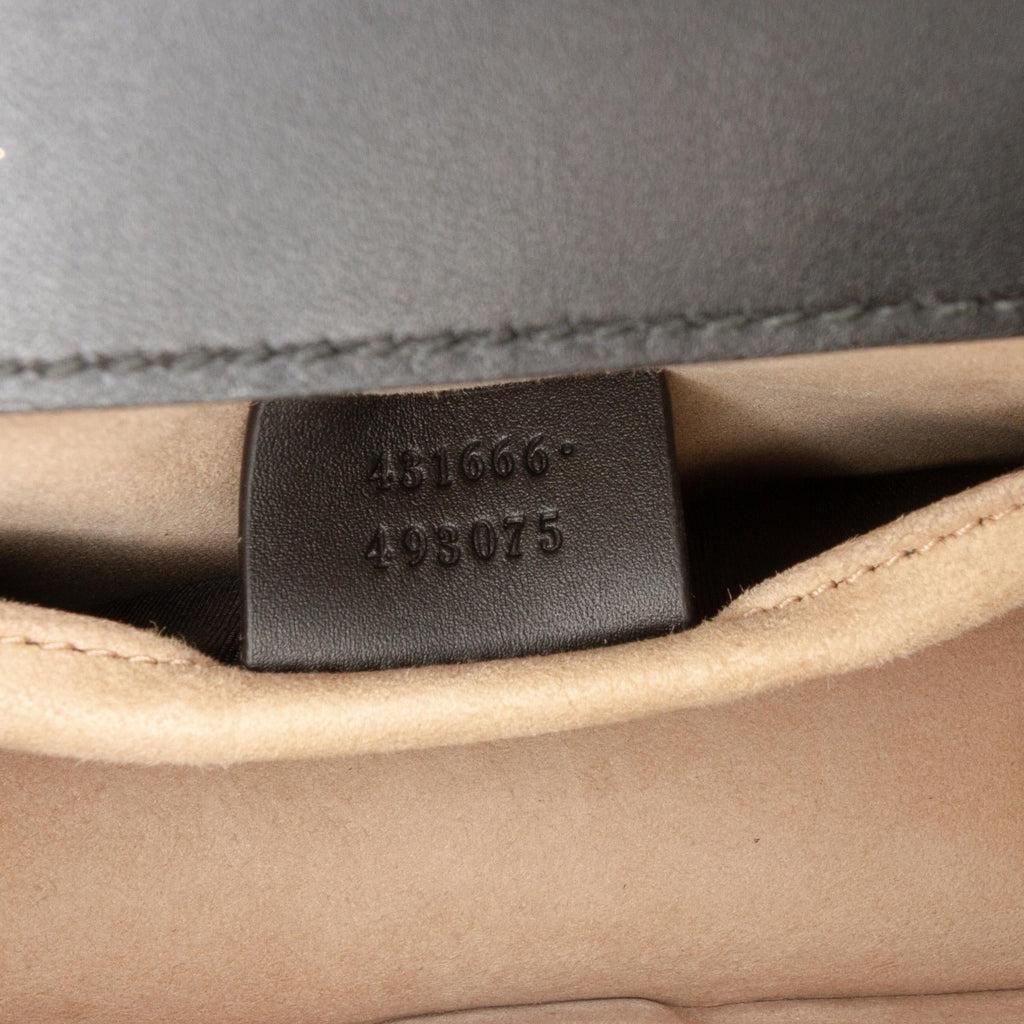Gucci Mini Leather Web Sylvie Chain Crossbody