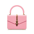 Gucci Mini Plexiglass Sylvie 1969 (SHG-orVI9i)