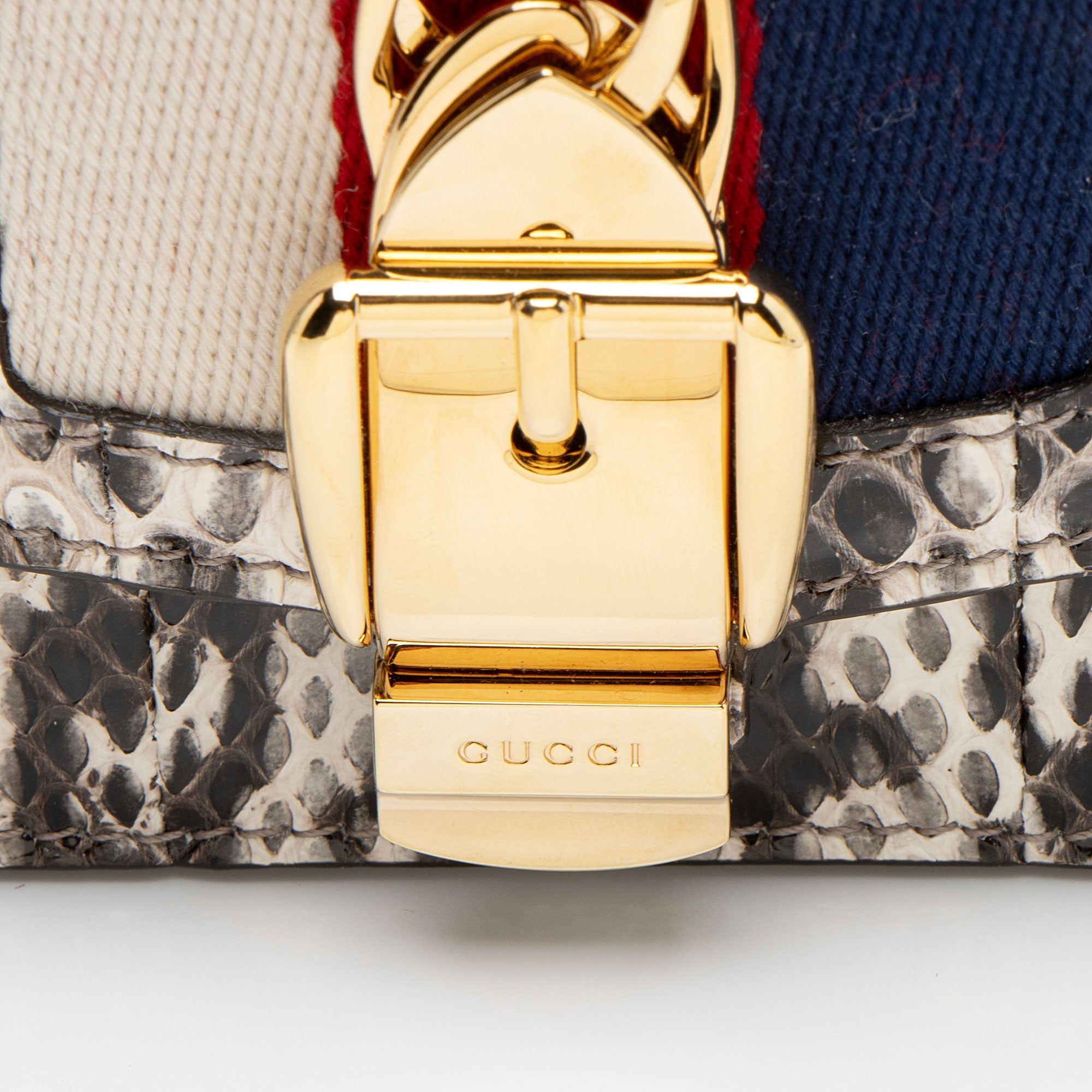 Gucci Python Floral Embroidered Sylvie Super Mini Shoulder Bag (SHF-GgSM5V)