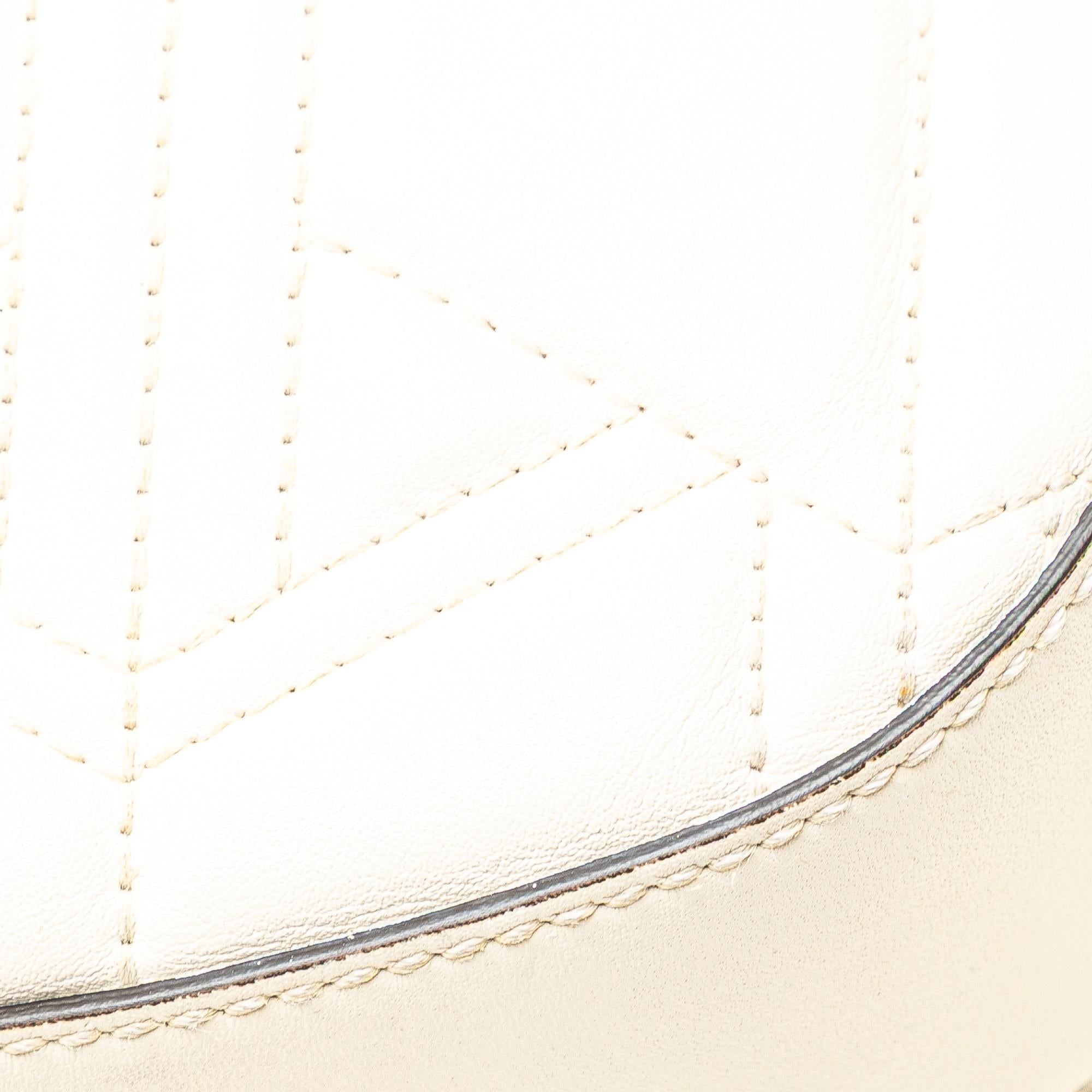 Gucci Quilted Leather Dionysus Web Hobo