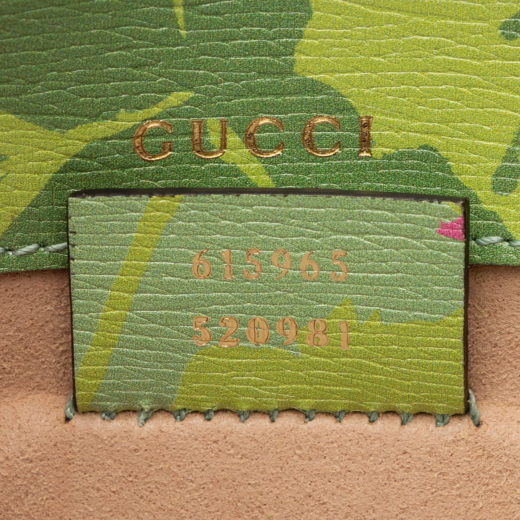 Gucci x KLB Scott Leather Floral Sylvie 1969 Mini Crossbody