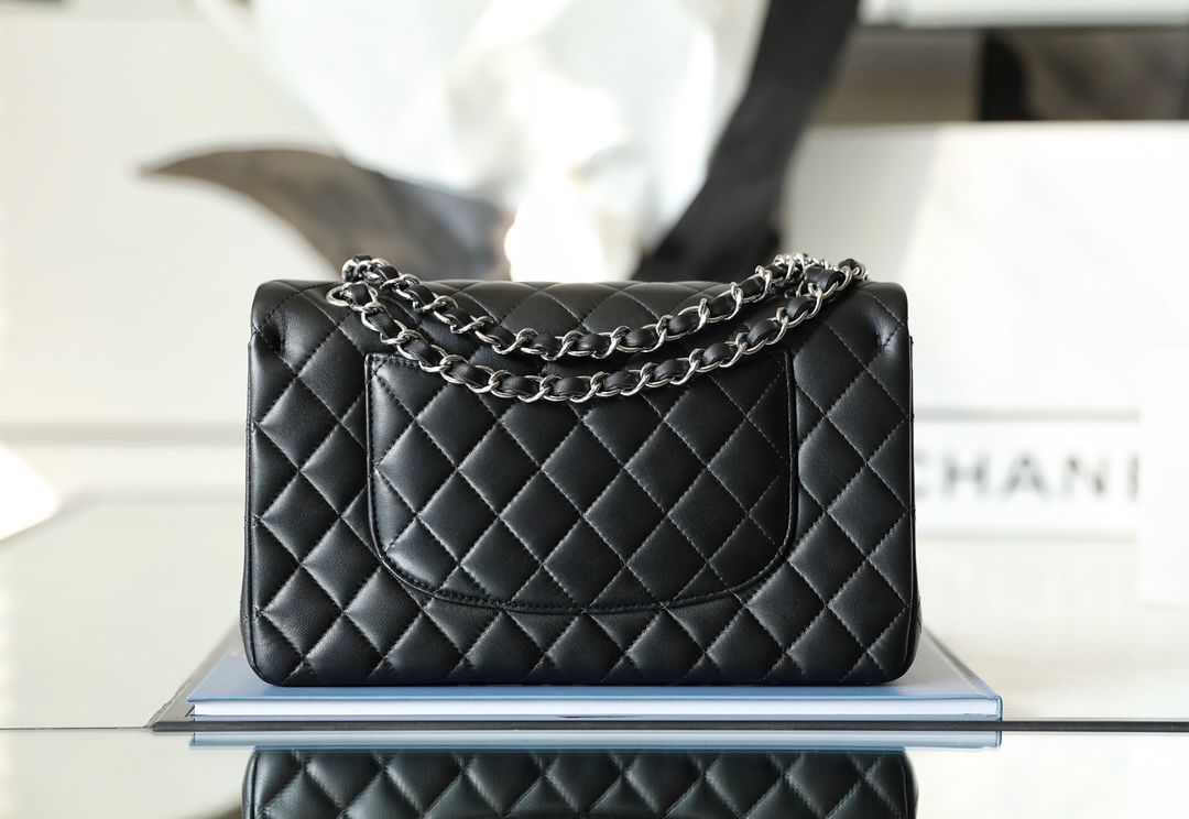 Chanel timeless classic Flap bag siLouis Vuittoner hardware
