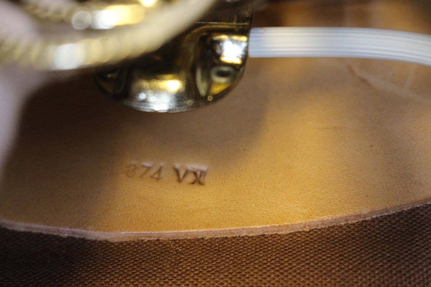 LOUIS VUITTON Monogram Canvas Brown Garment Cover