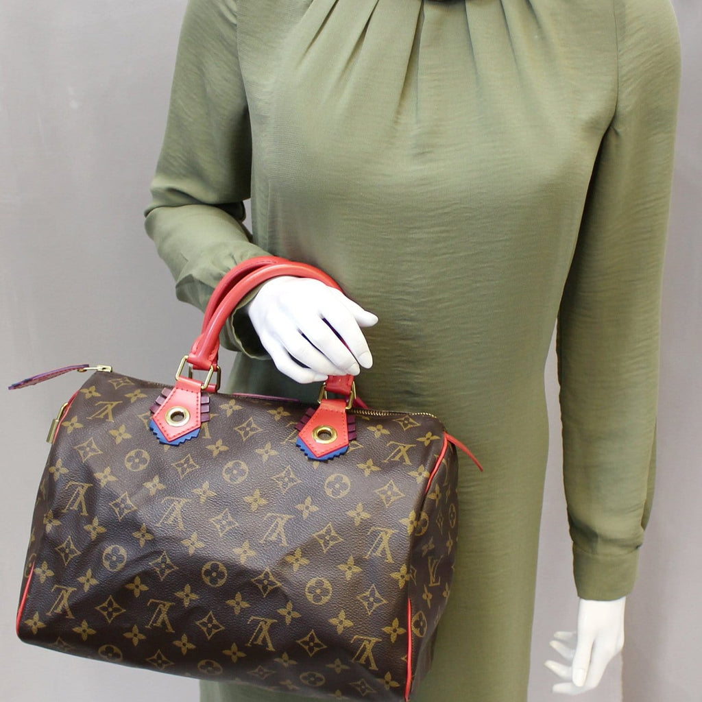 LOUIS VUITTON Totem Monogram Canvas Speedy 30 Satchel Bag