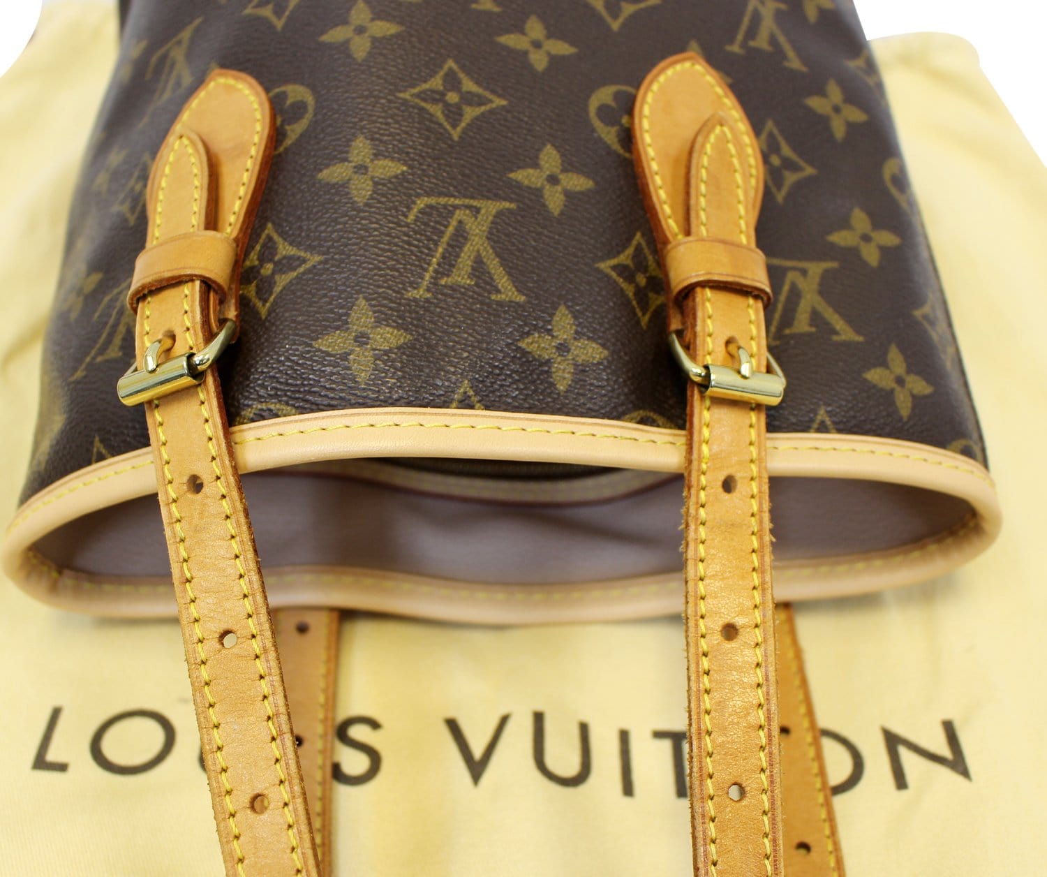 LOUIS VUITTON Bucket PM Monogram Canvas Shoulder Bag