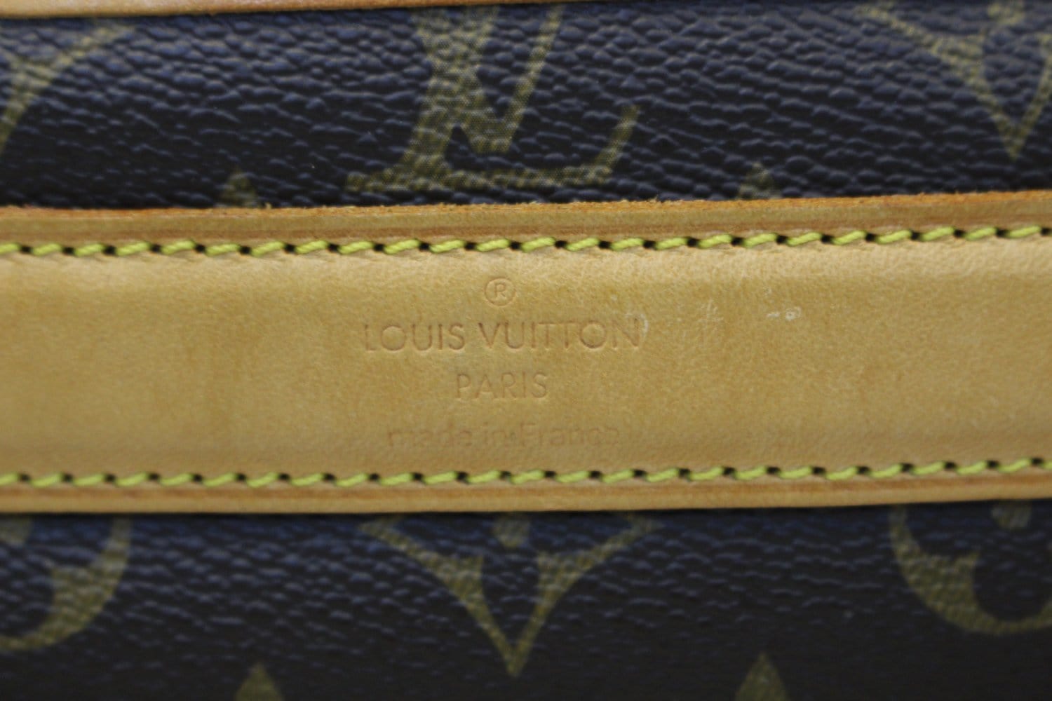 LOUIS VUITTON Monogram Canvas Sac Chien Dog Carrier Bag