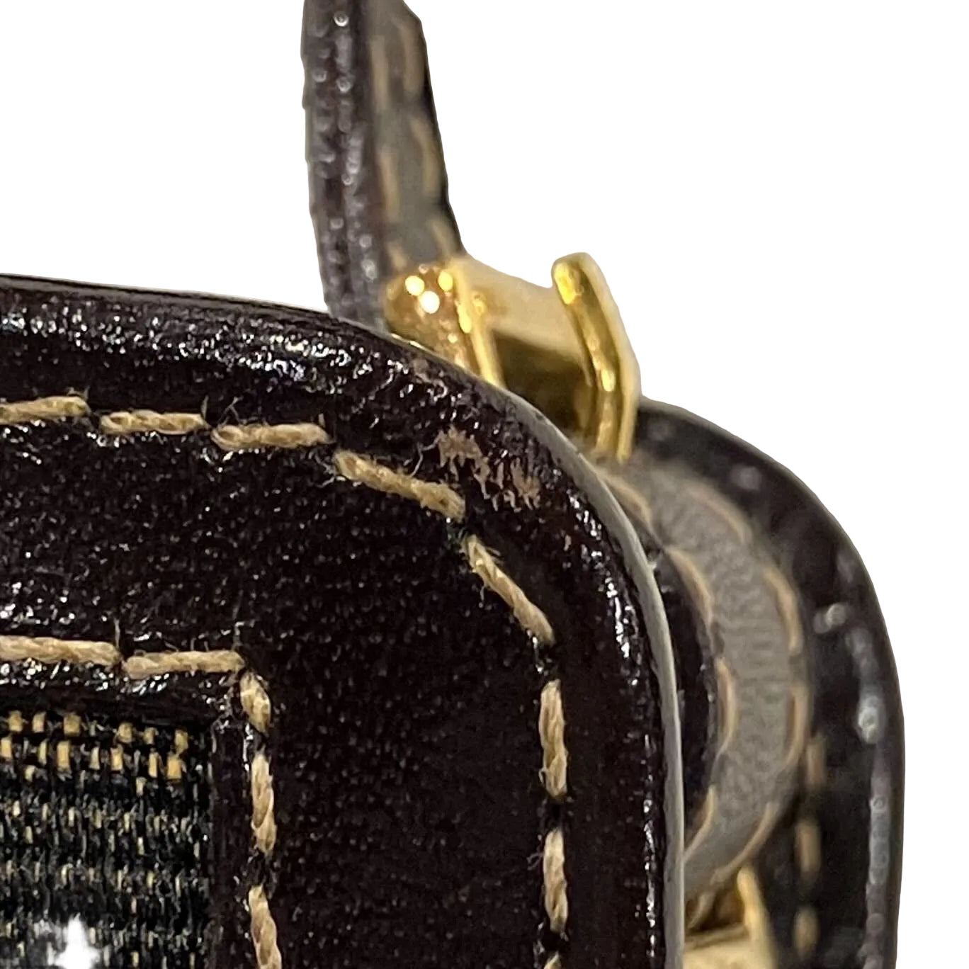 FENDI Zucca Phone Case