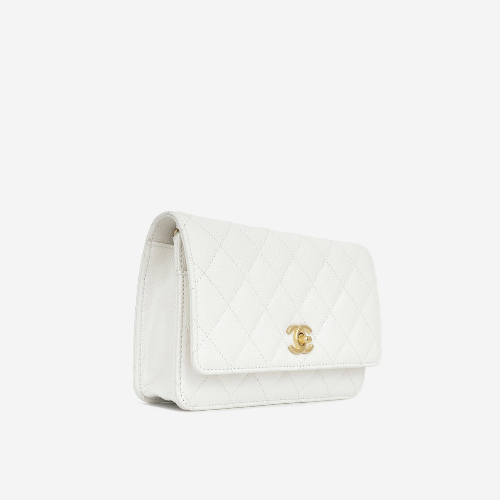 Medallion Wallet on Chain