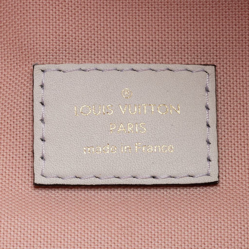 Louis Vuitton Giant Monogram Canvas Bumbag (SHF-22487)
