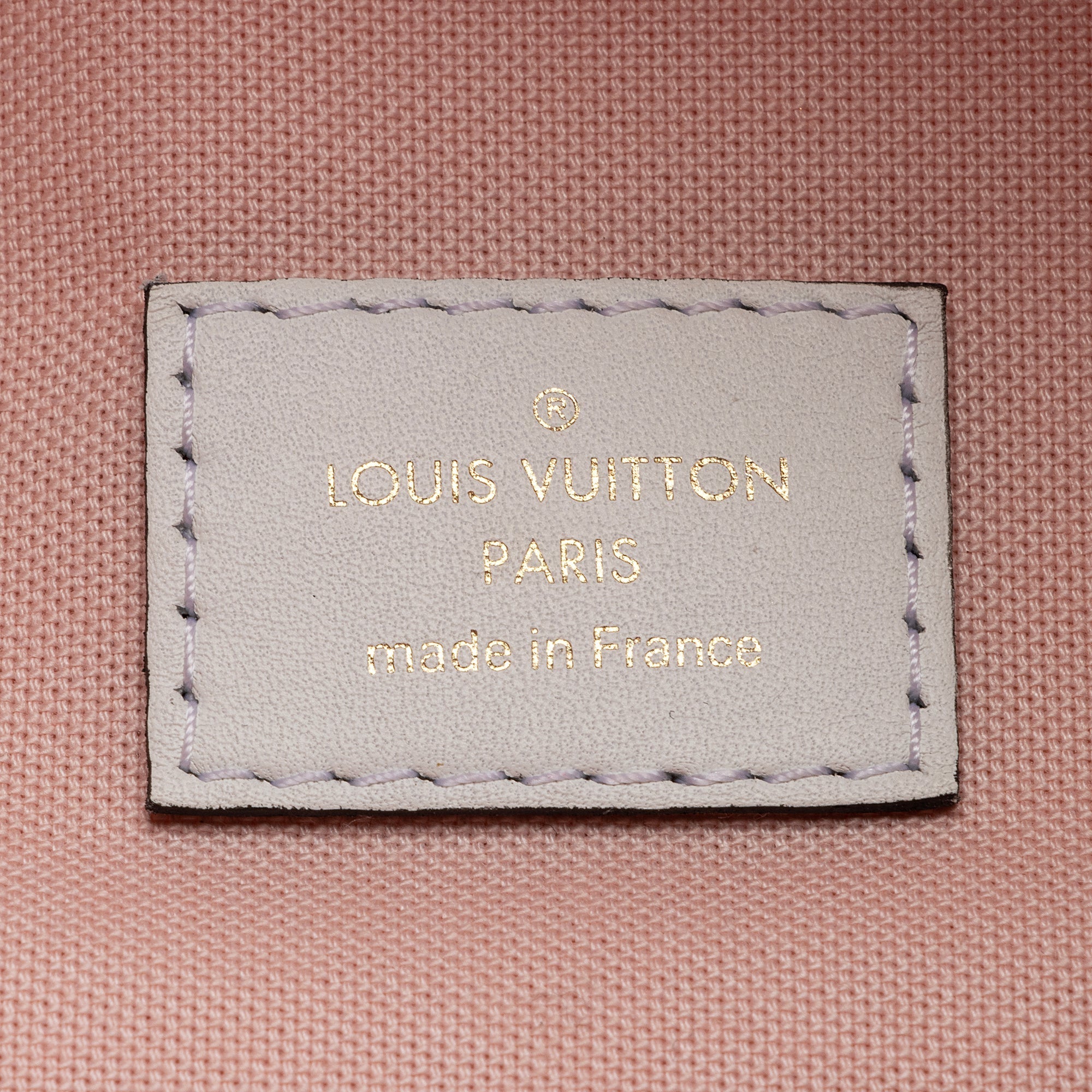 Louis Vuitton Giant Monogram Canvas Bumbag (SHF-22487)