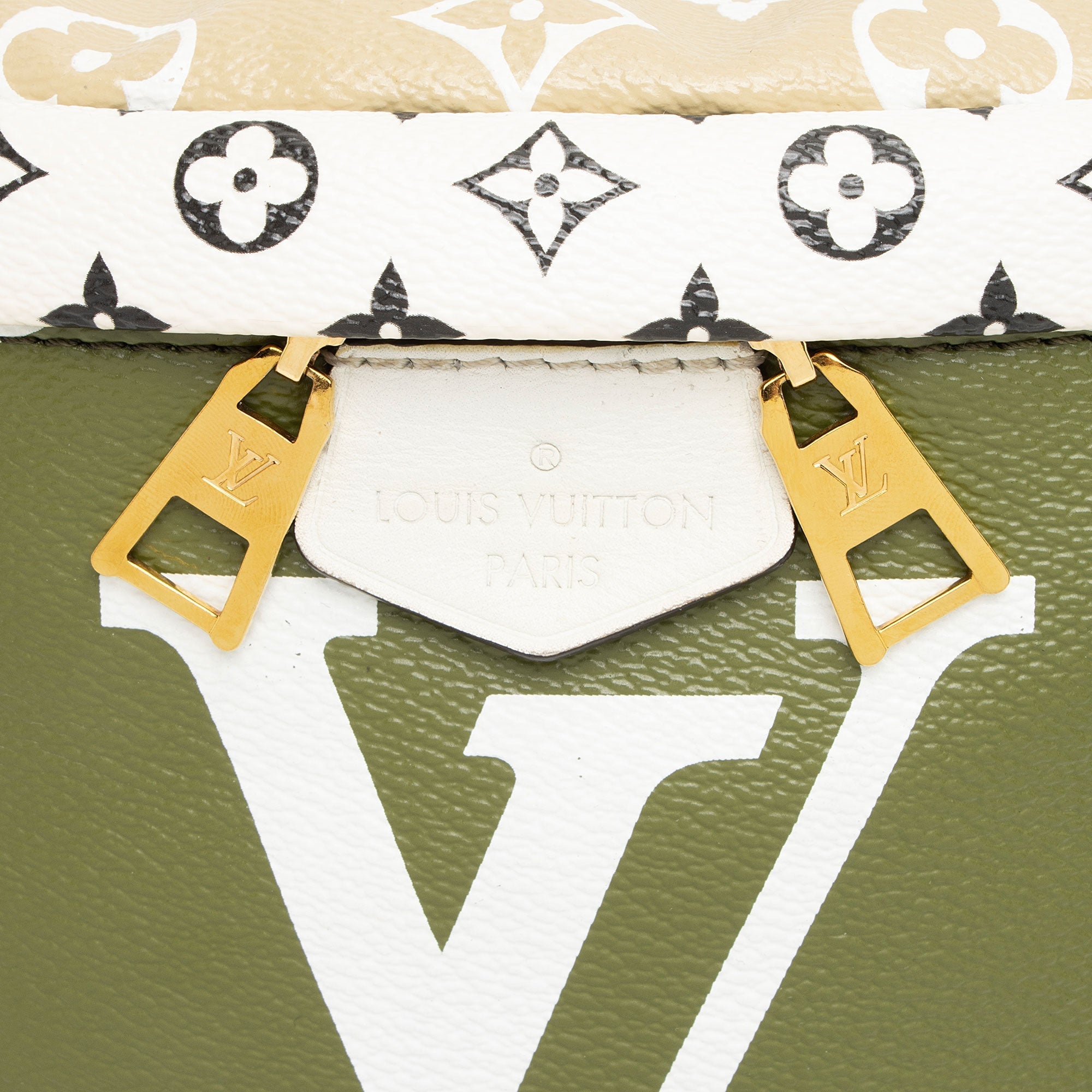 Louis Vuitton Giant Monogram Canvas Bumbag