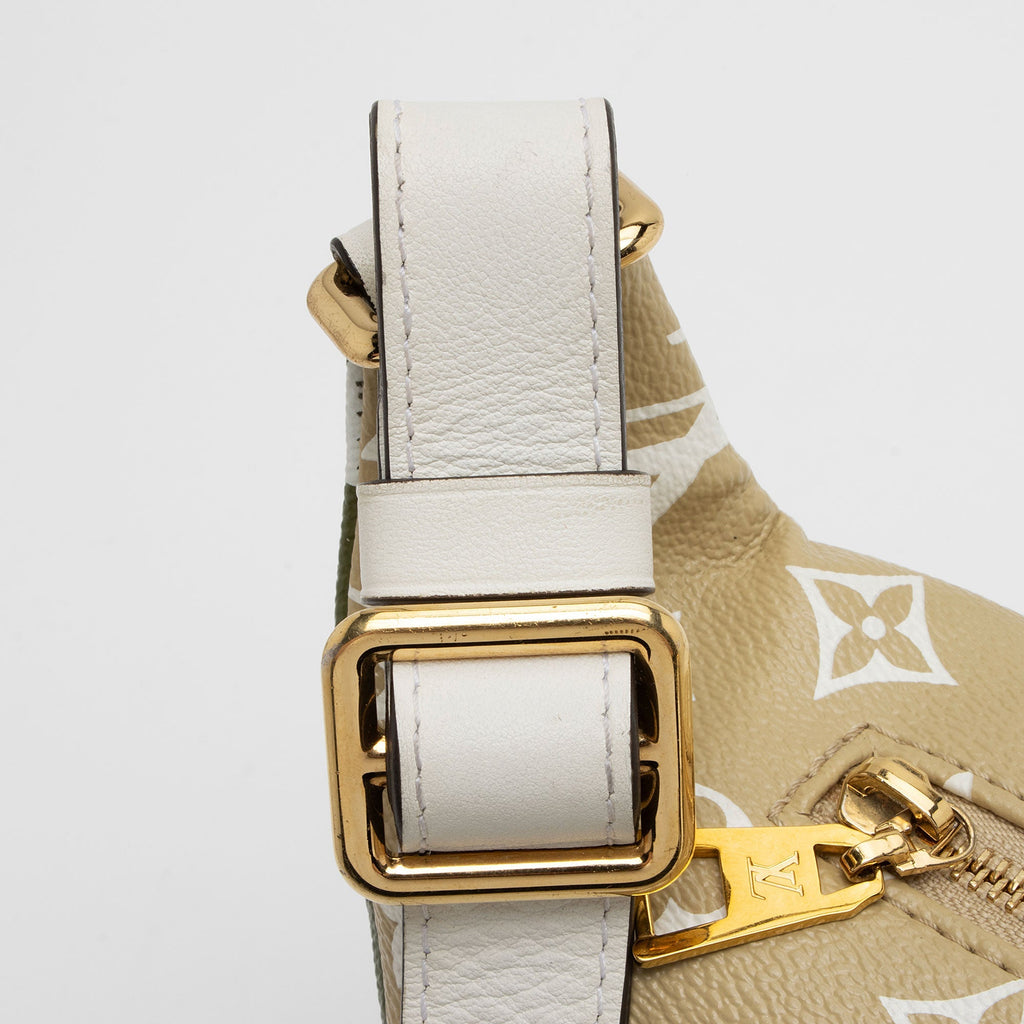 Louis Vuitton Giant Monogram Canvas Bumbag