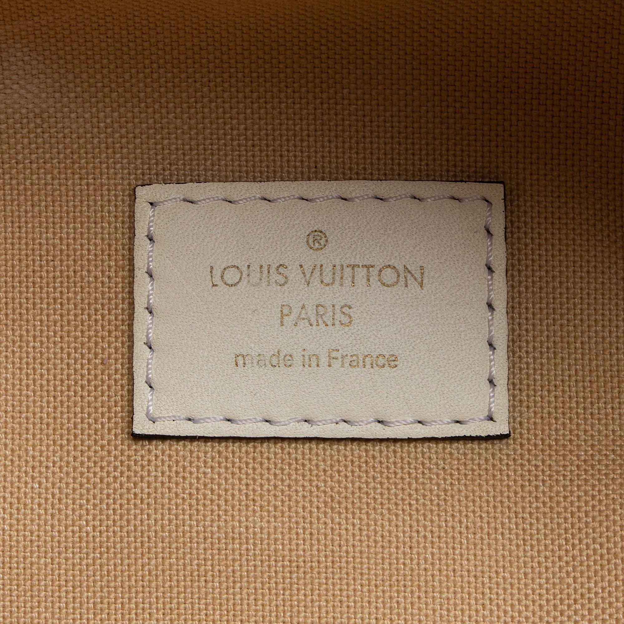Louis Vuitton Giant Monogram Canvas Bumbag