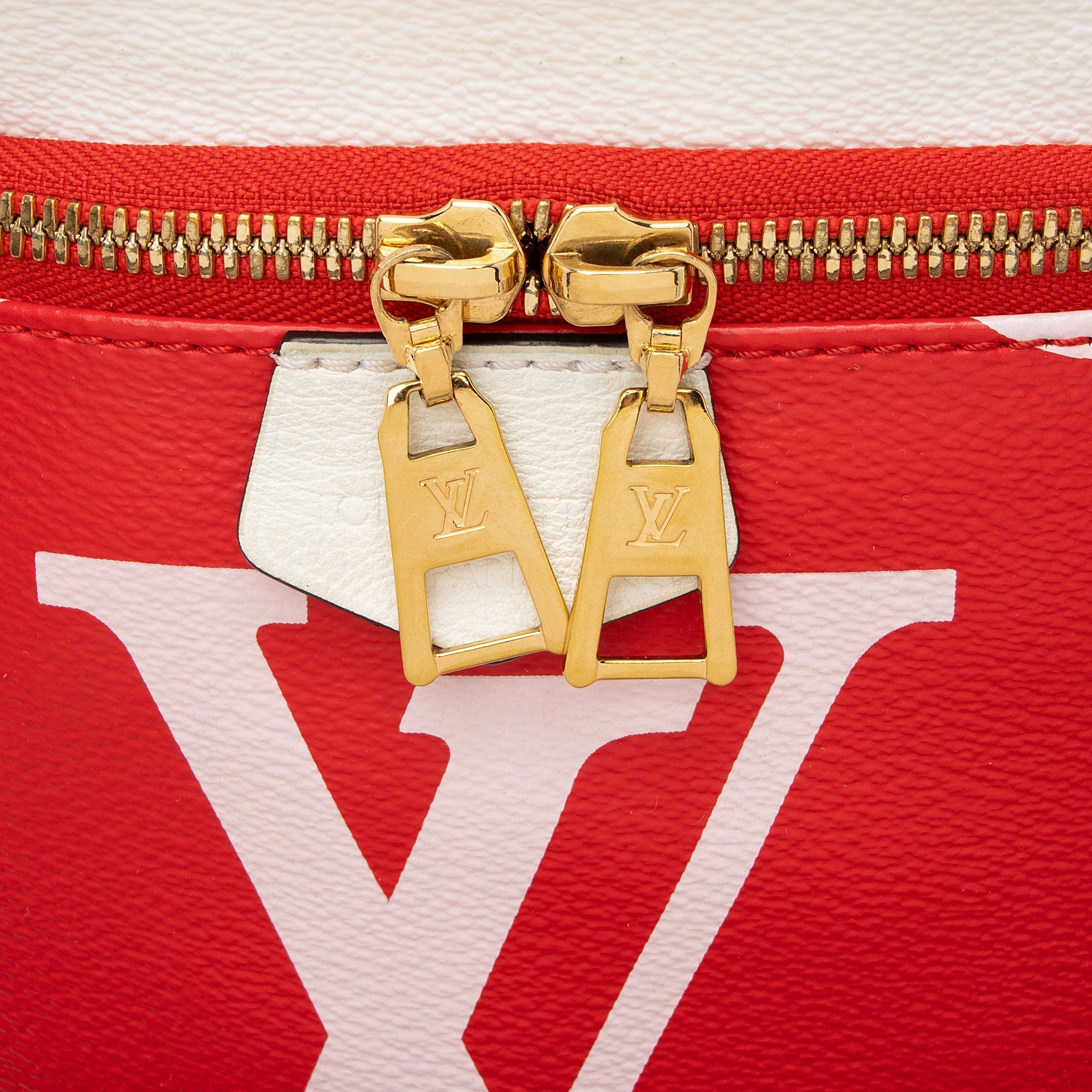 Louis Vuitton Giant Monogram Canvas Bumbag
