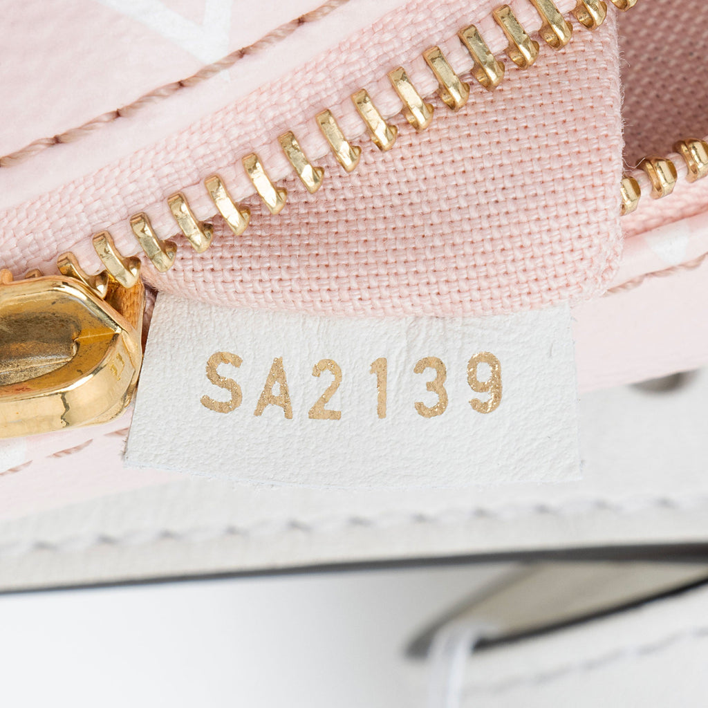 Louis Vuitton Giant Monogram Canvas Bumbag