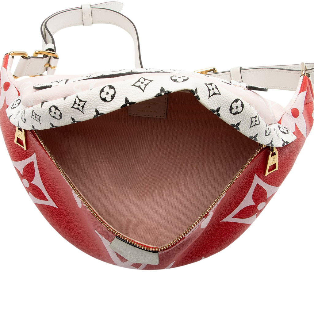 Louis Vuitton Giant Monogram Canvas Bumbag