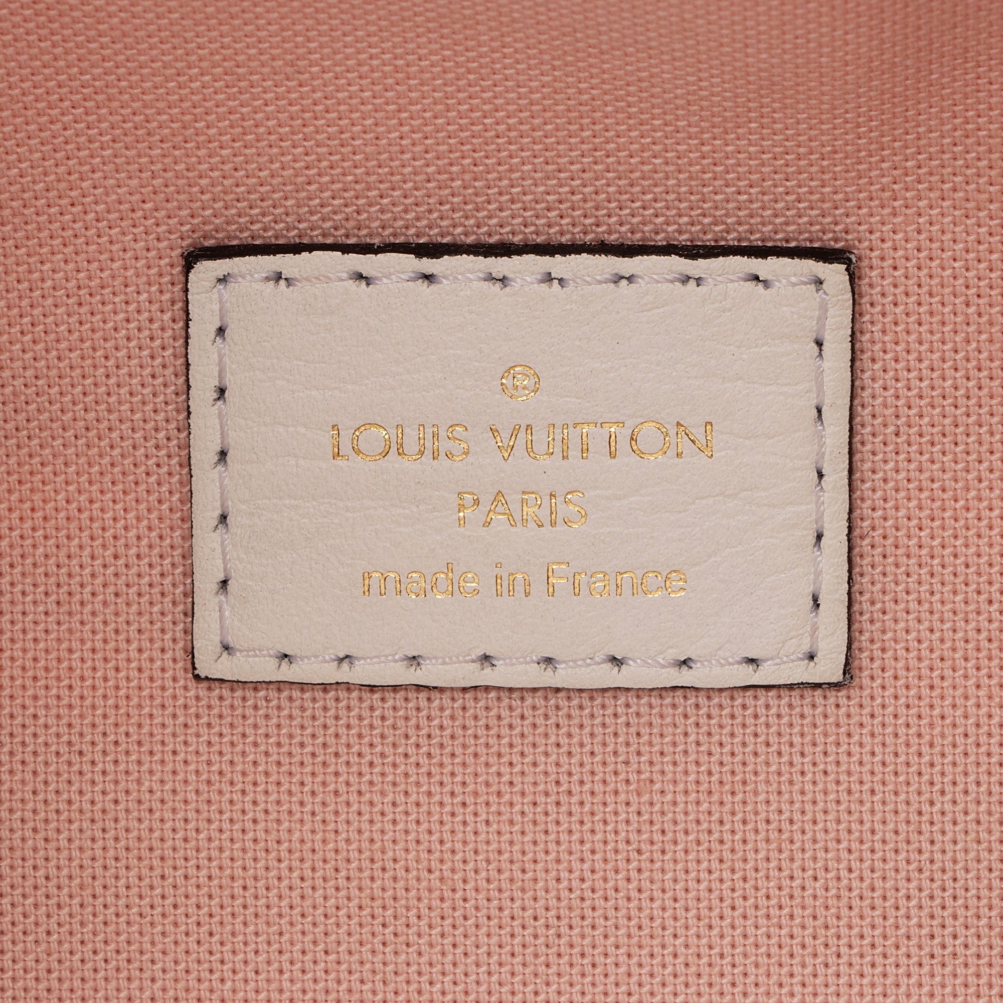 Louis Vuitton Giant Monogram Canvas Bumbag