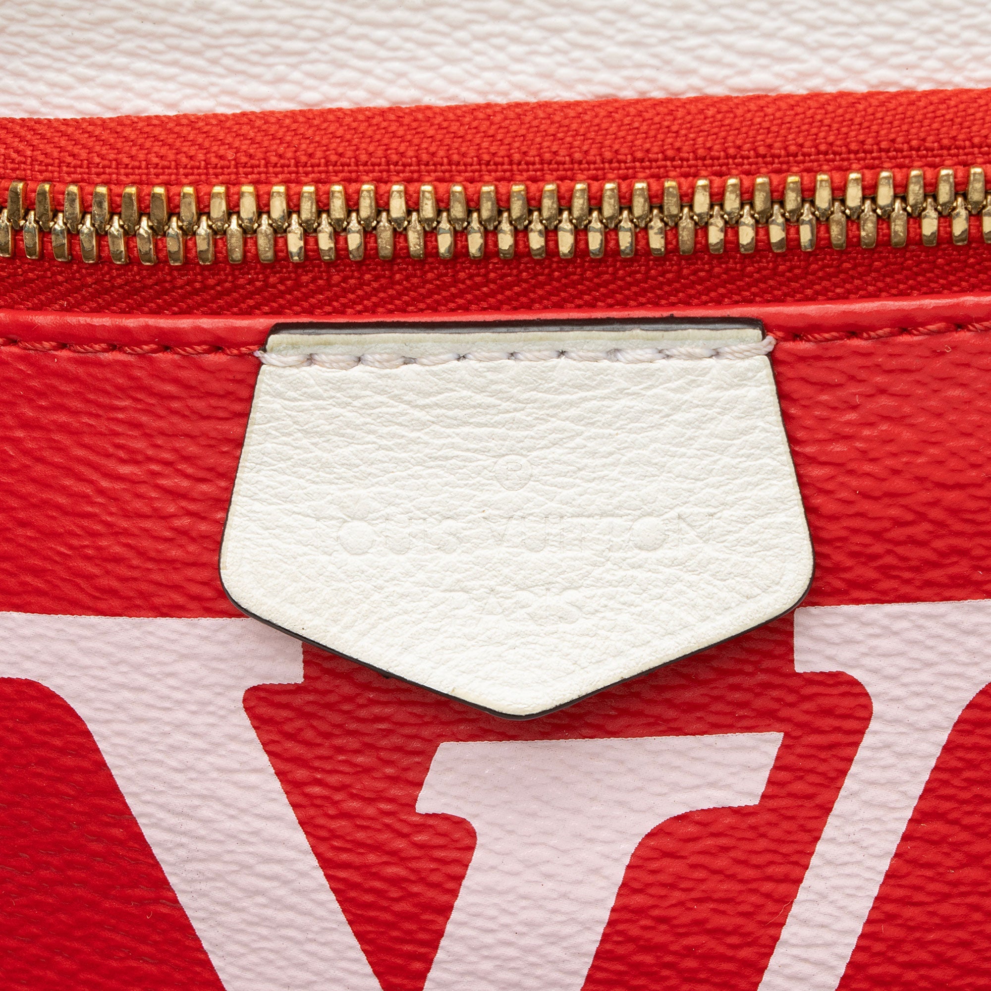 Louis Vuitton Giant Monogram Canvas Bumbag