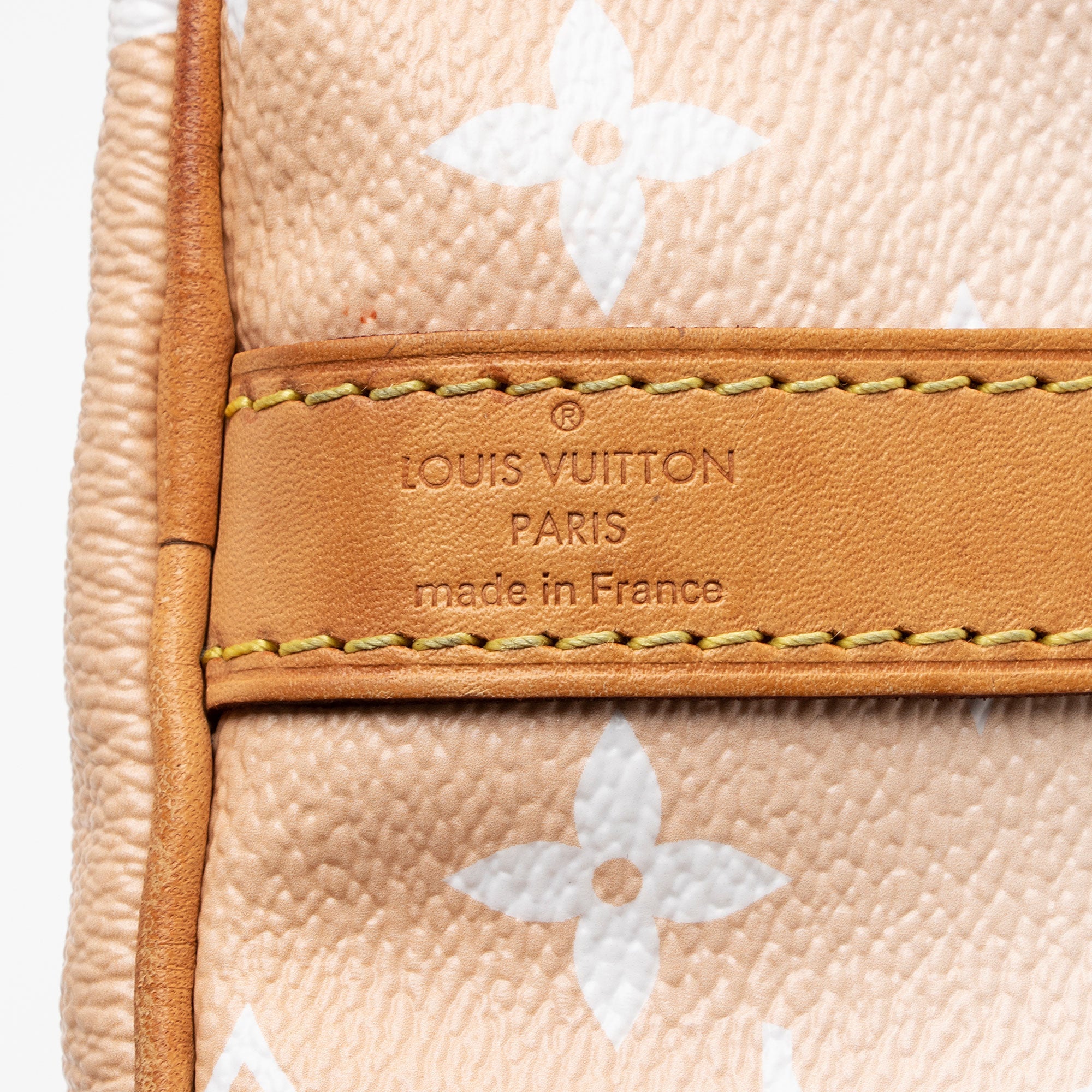 Louis Vuitton Giant Monogram Canvas By The Pool Speedy Bandouliere 25 Satchel (SHF-IVfHN0)