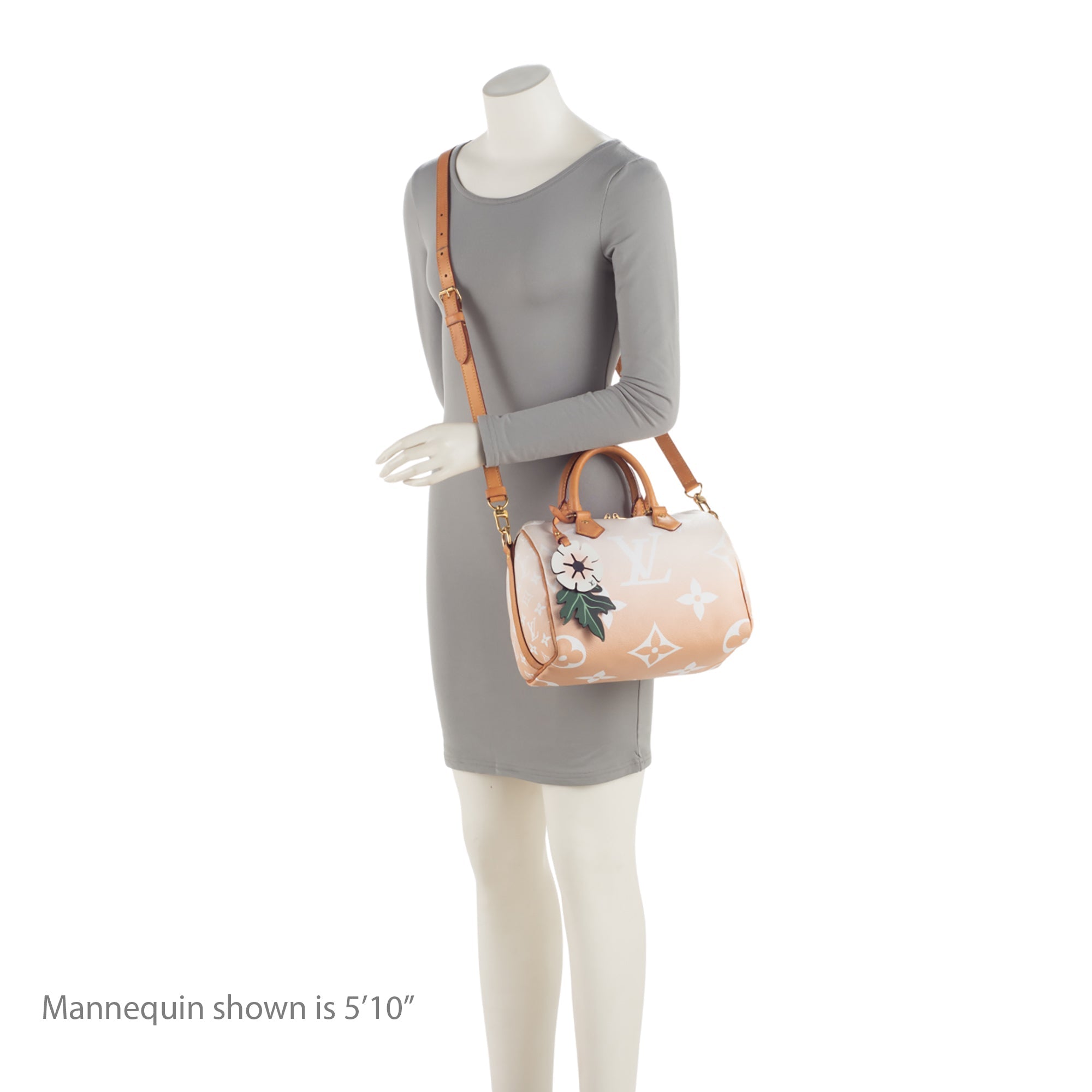Louis Vuitton Giant Monogram Canvas By The Pool Speedy Bandouliere 25 Satchel (SHF-IVfHN0)