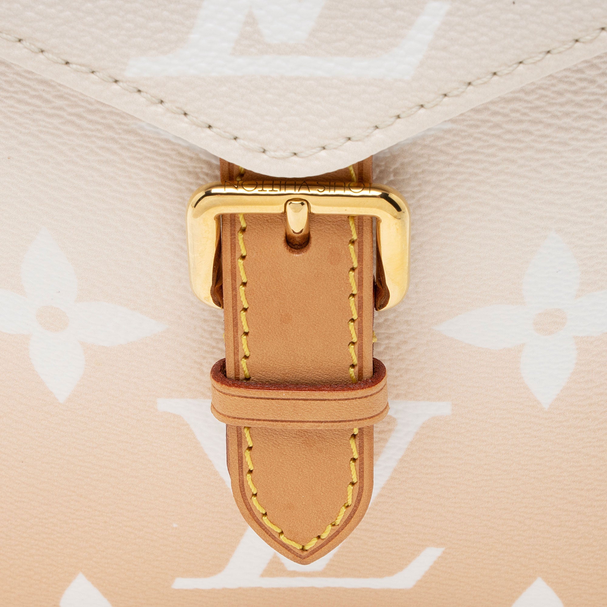 Louis Vuitton Giant Monogram Canvas By The Pool Tiny Backpack